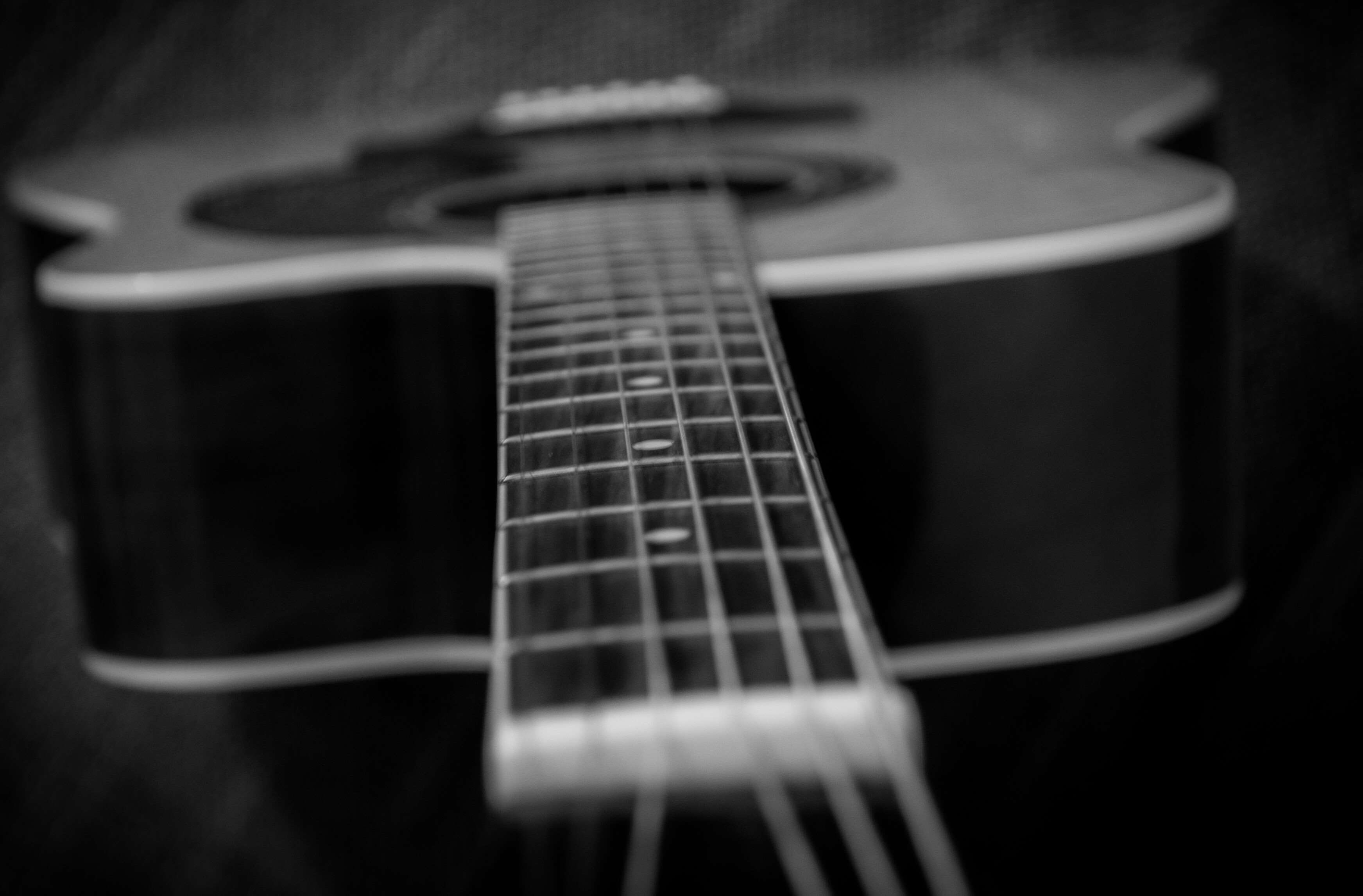 bass, equipment, acoustic, strings, indoors, single object, wood, musical instrument string, hobby, studio shot, classic, string instrument, jazz, classical style, HD Wallpaper