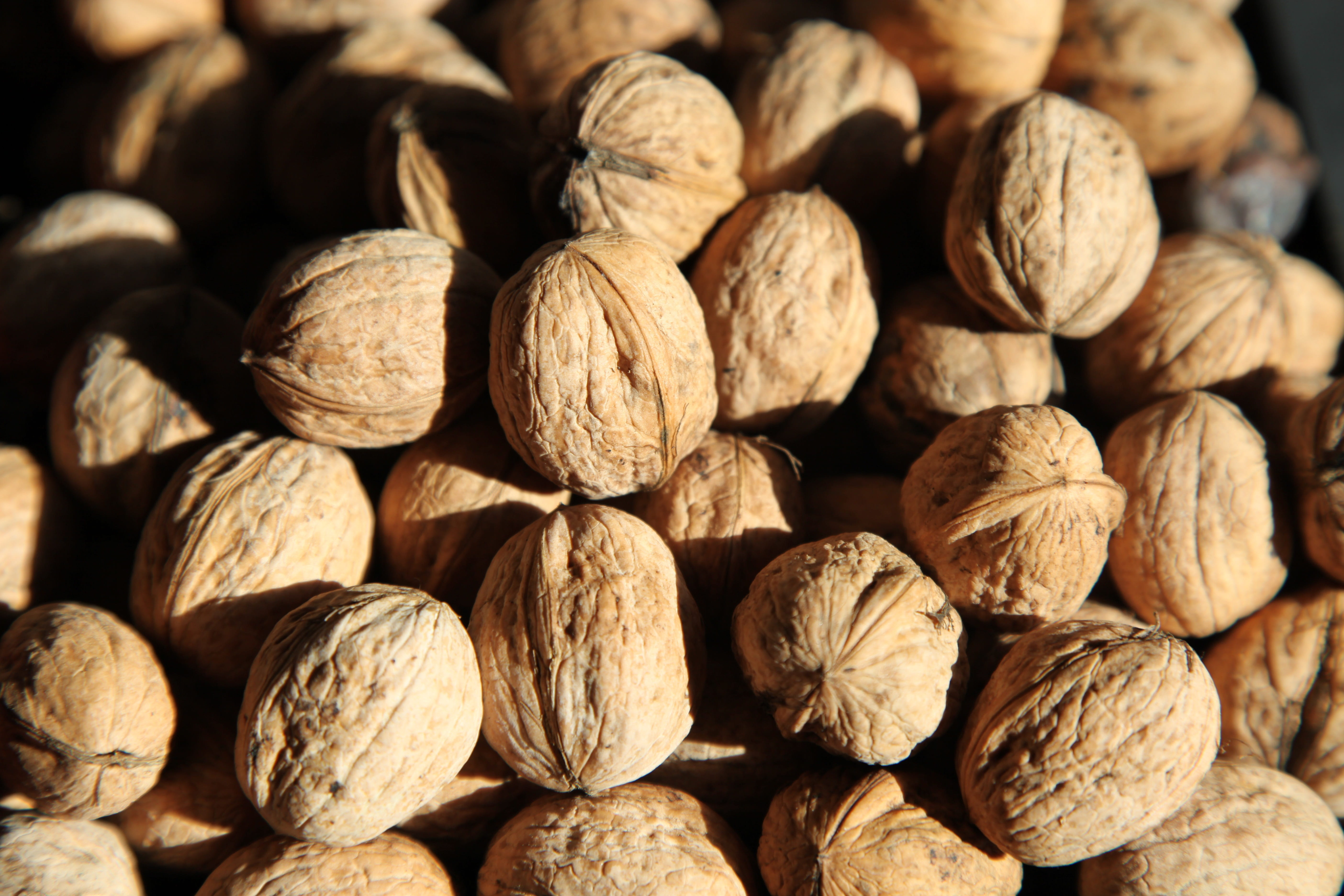 harvest, nutshell, nut, nut - food, food and drink, close-up, 5K, large group of objects, walnut, full frame, abundance, indoors, eatables, health, vitamins, HD Wallpaper