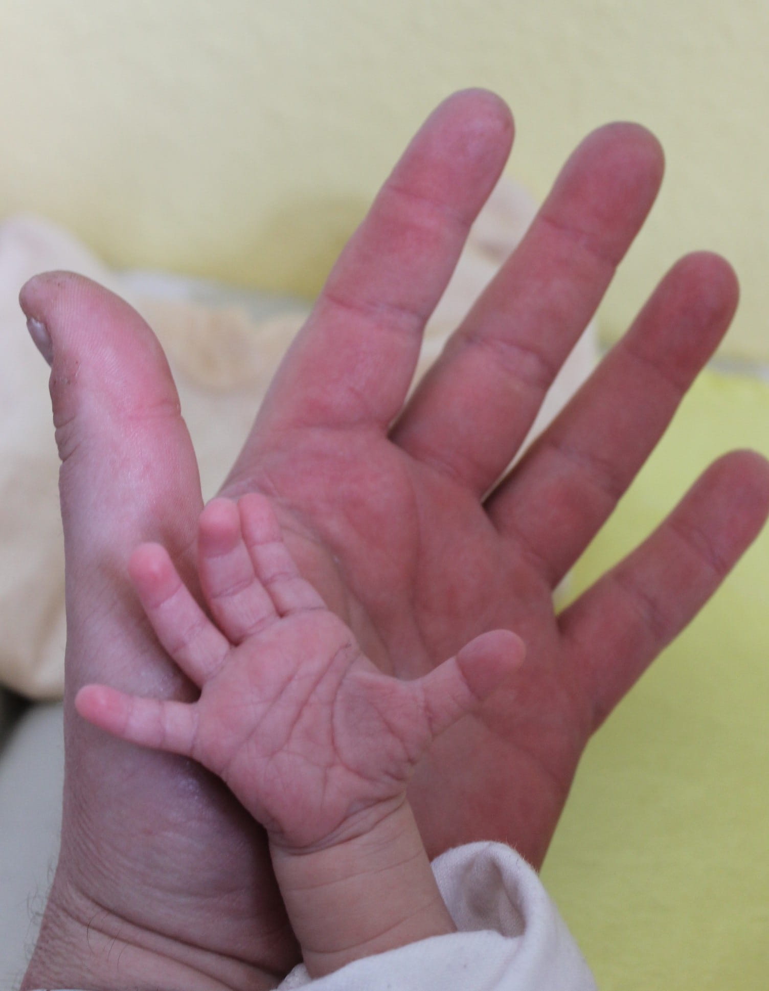 hand, newborn, bonding, body part, close-up, adult, Grandpa, finger, real people, baby, human hand, babyhood, showing, women, infant, unrecognizable person, Phone HD Wallpaper