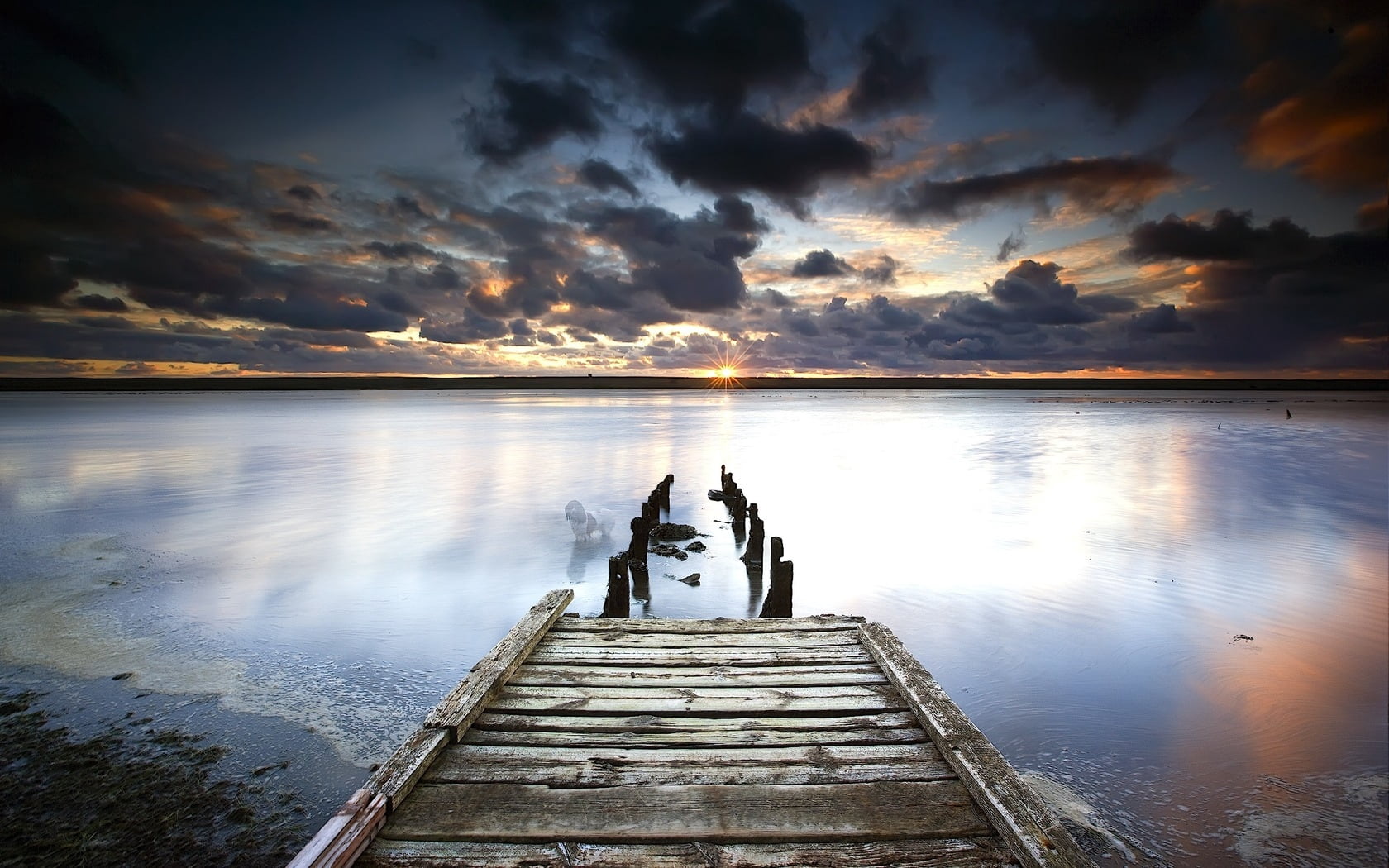 happiness, adult, beach, pier, tranquil Scene, dog, dusk, beauty In Nature, sunrise - Dawn, tranquility, brown, sunset, scenics - nature, nature, wood - Material, HD Wallpaper