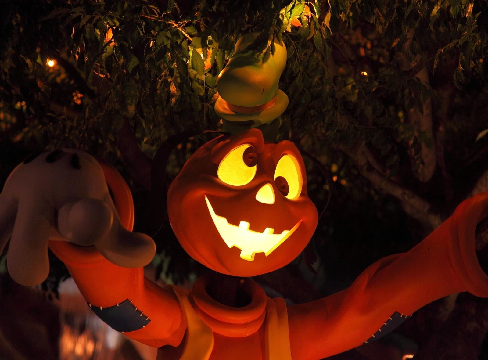 season, o, eyes, hand, smiling, tree, fun, human body part, fear, orange Color, face, halloween, holiday - event, food and drink, backgrounds, laughing, HD Wallpaper