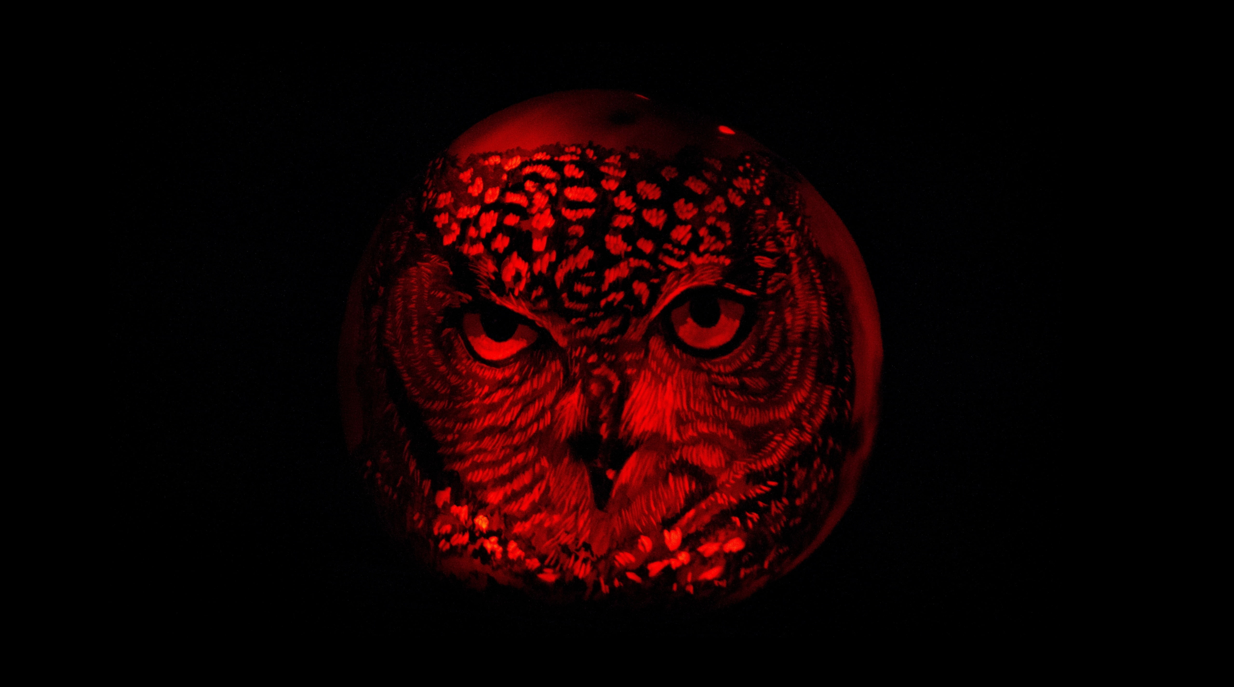 pumpkin, 5K, Life, Hand, human face, canon, dark, held, rogerwilliams, food and drink, Giant, Halloween, carving, single object, studio shot, Holidays, HD Wallpaper