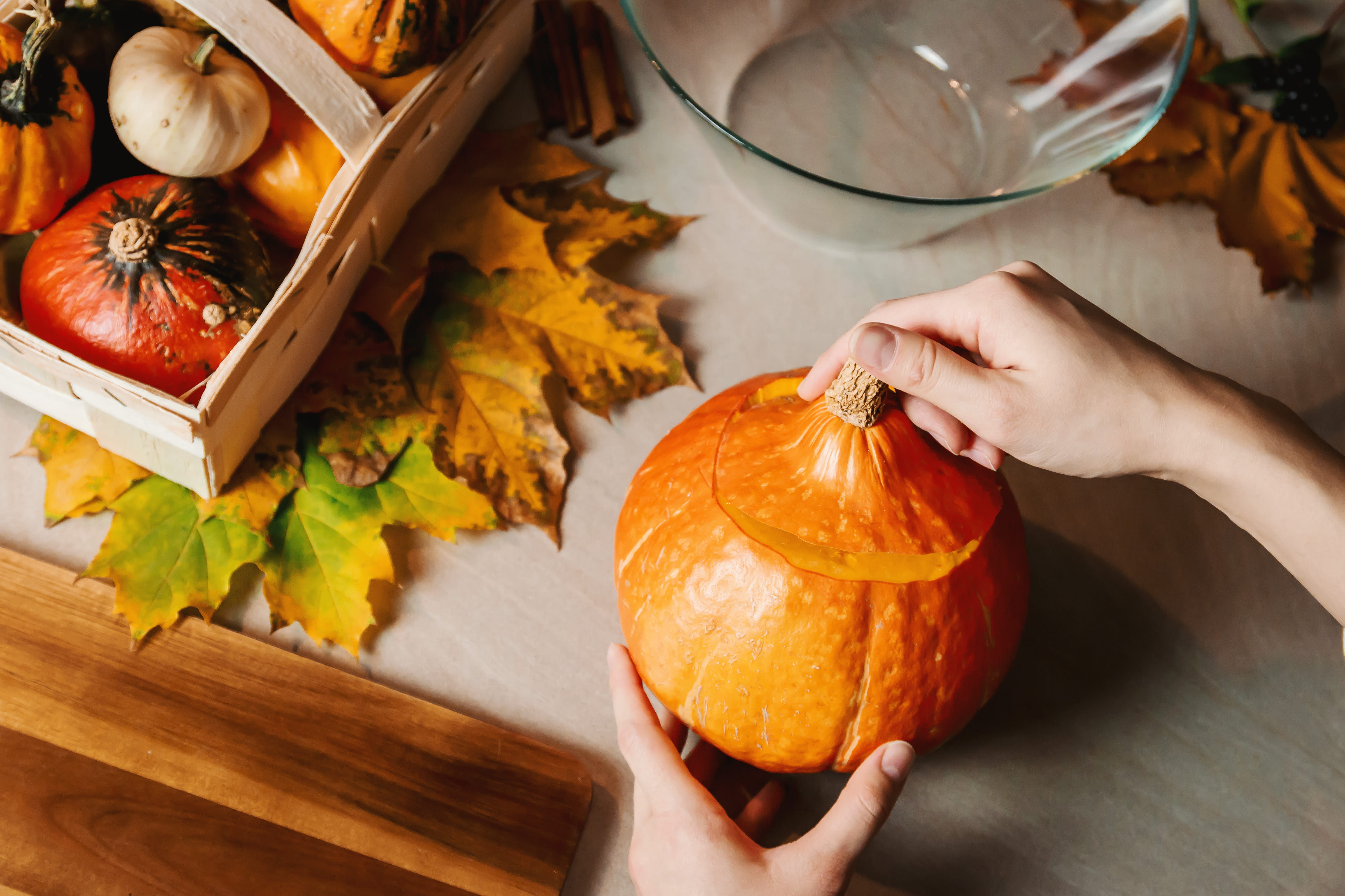 girls, orange color, leaf, pumpkin, celebration, food, jack o lantern, maple leaf, preparing food, holiday - event, freshness, holding, autumn, 4K, one person, HD Wallpaper