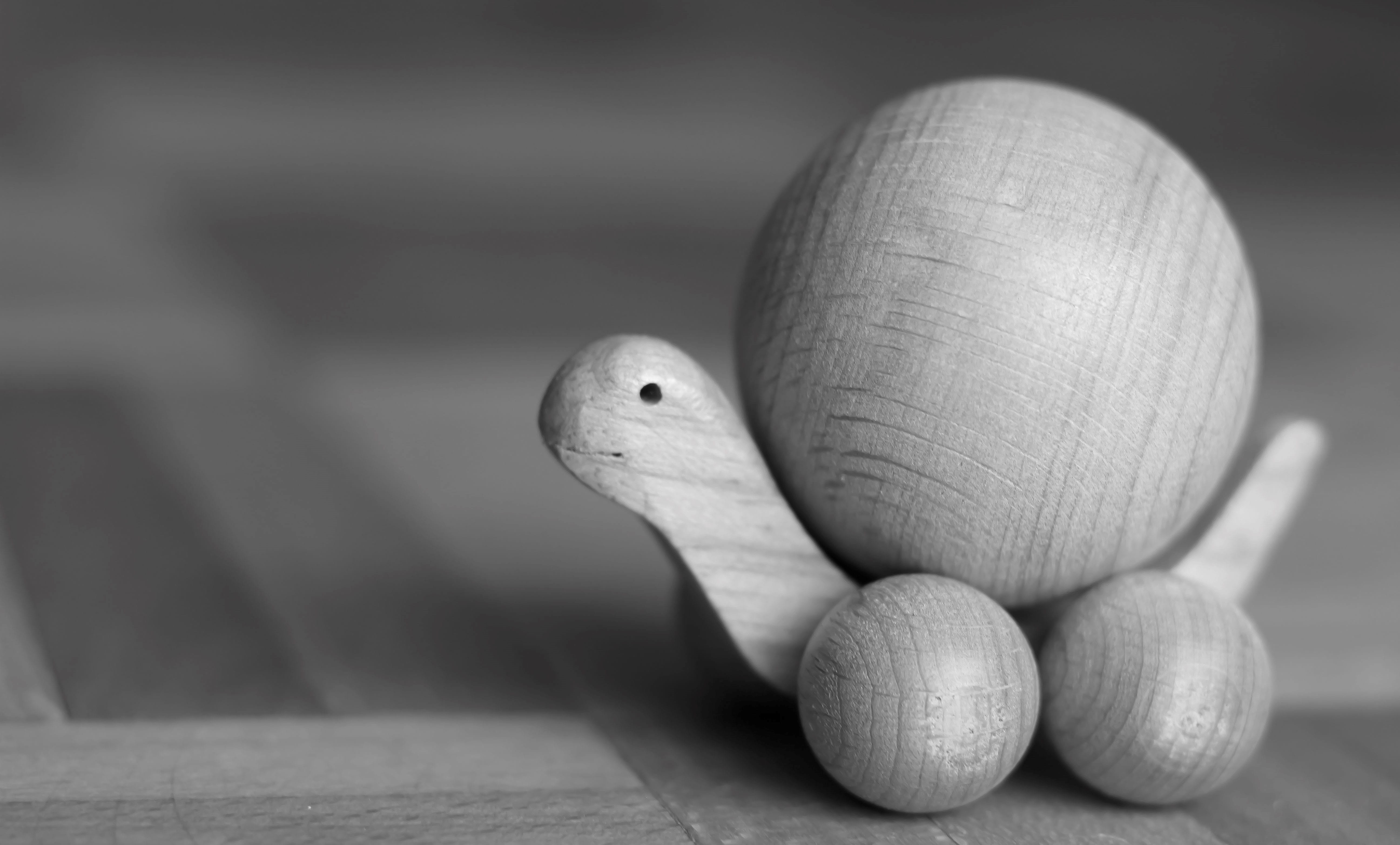 turtle, healthy eating, selective focus, close-up, figure, single object, vegetable, focus on foreground, hand labor, table, nice, one animal, break, holzfigur, HD Wallpaper