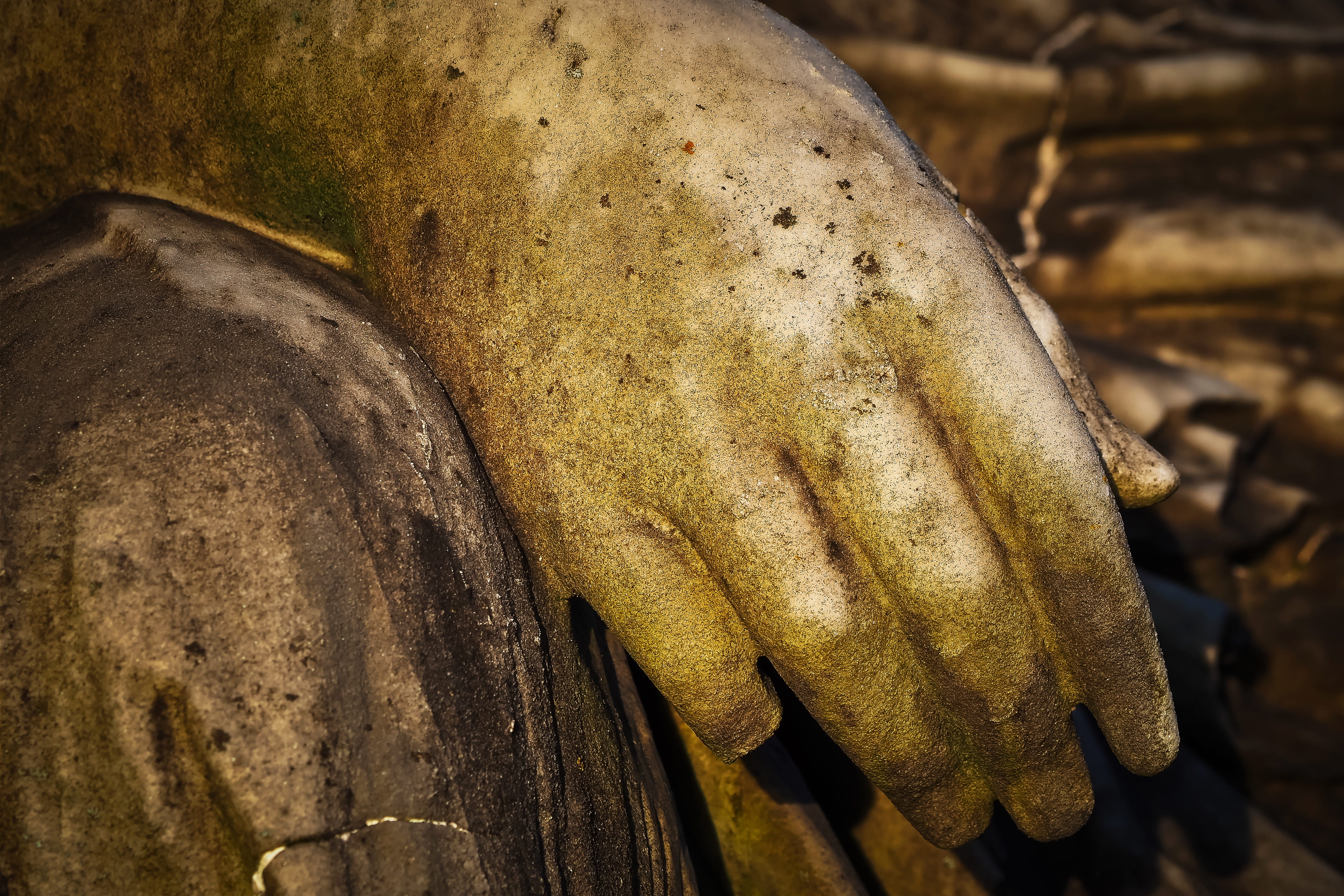 old, still life, day, rest, freshness, food, cemetery culture, wellbeing, statue, cemetery, animal body part, mourning, last calm, burial ground, no people, HD Wallpaper