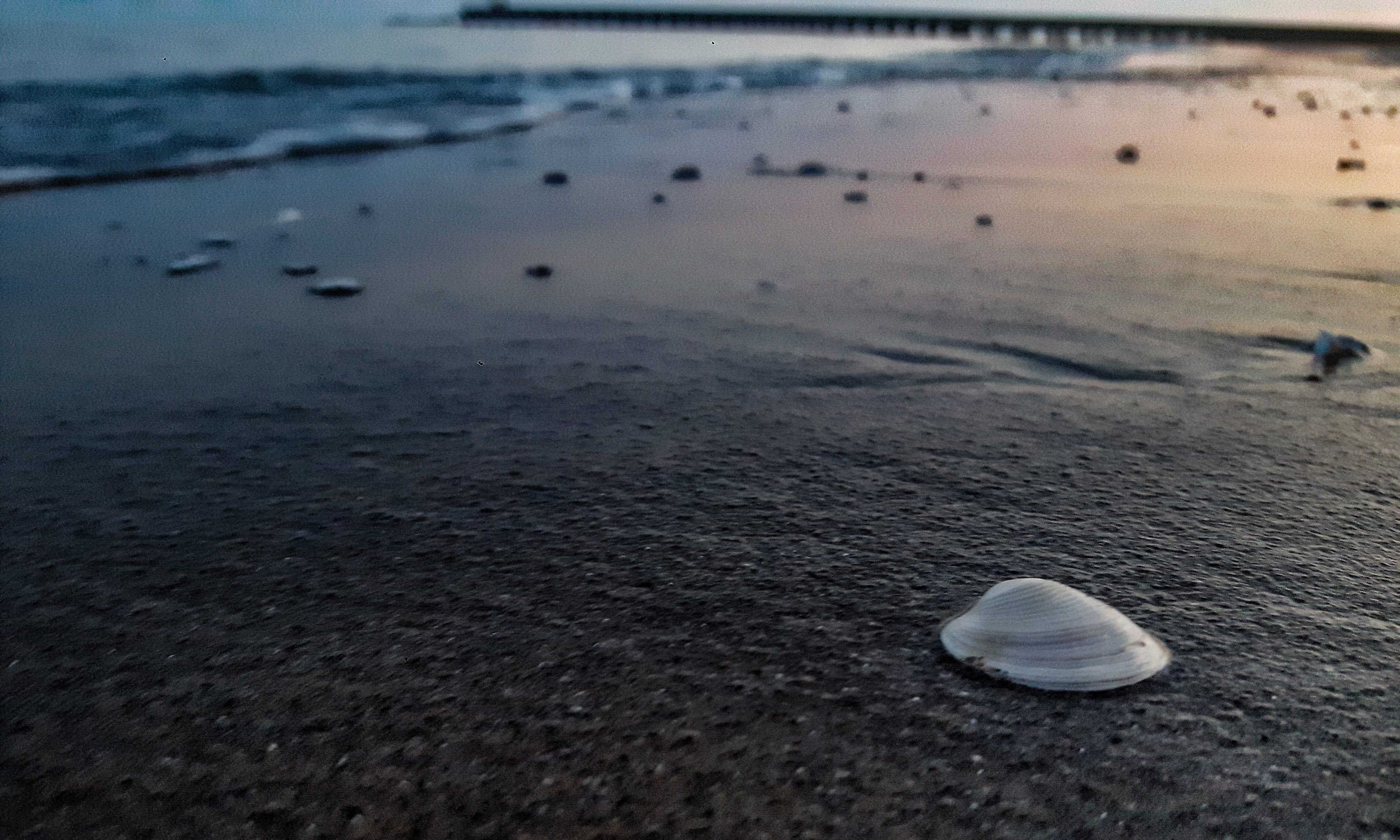 outdoors, focus on foreground, land, via andrea bafile 20° accesso al mare, italy, day, rock, tranquil scene, scenics - nature, close-up, lido di jesolo, HD Wallpaper
