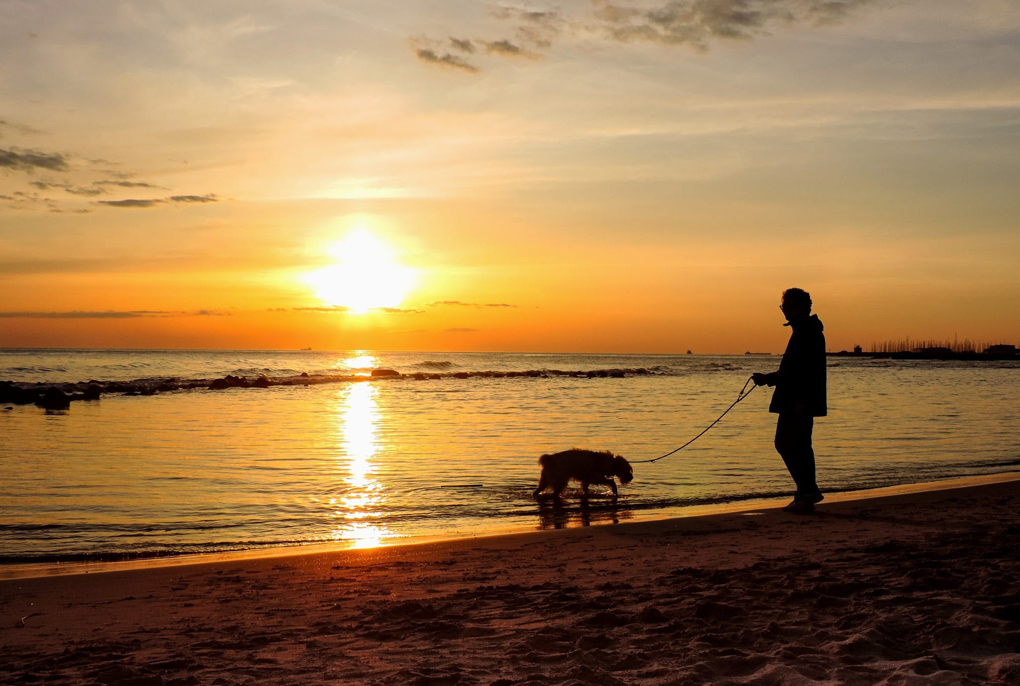 orange color, outdoors, animal, reflection, beach, ostia, domestic, nature, person, pet owner, marvel, mammal, domestic animals, pets, canine, horizon over water, HD Wallpaper