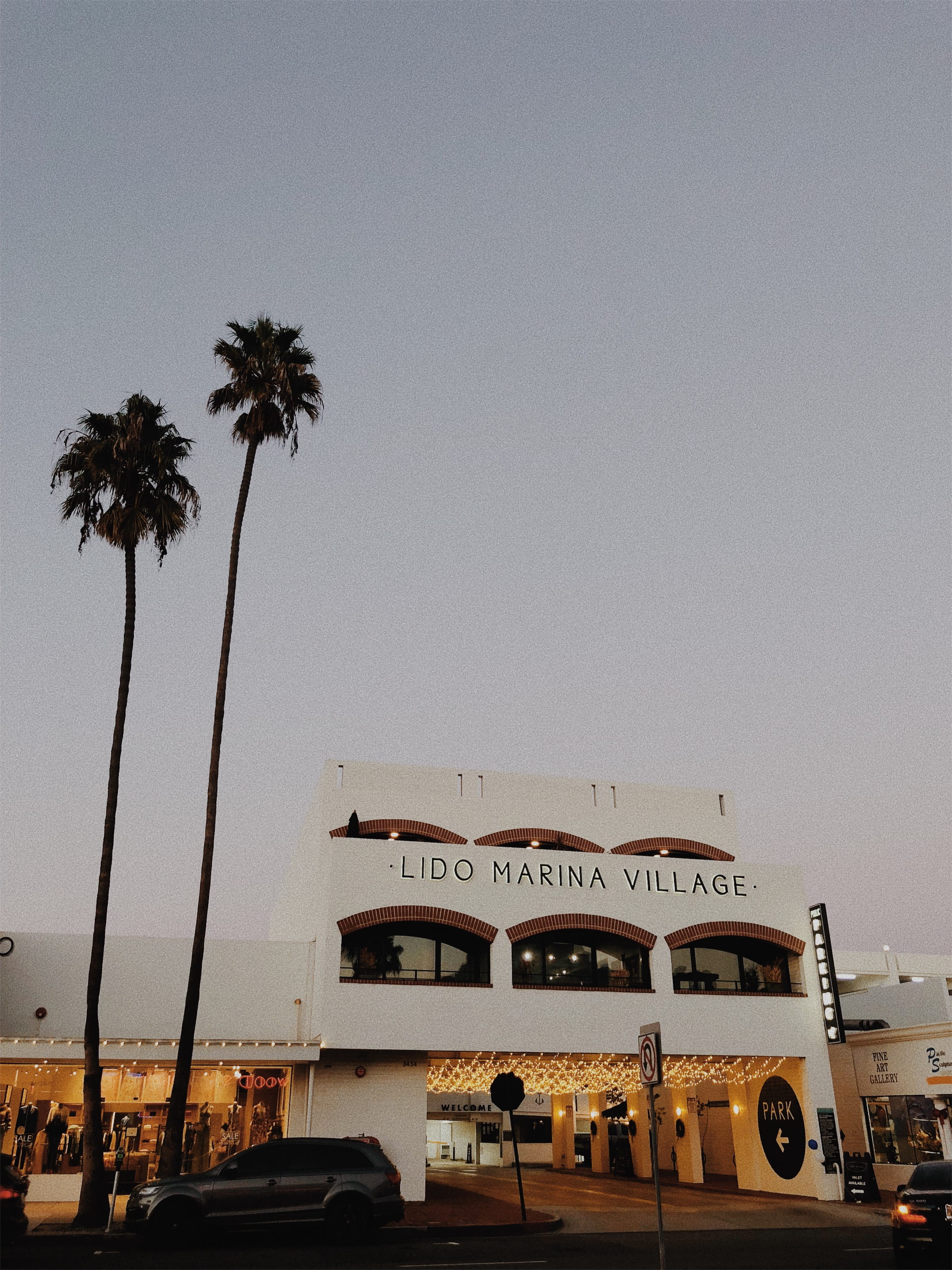 beside, mode of transportation, usa, airplane, tree, gray, built structure, car, sky, beach town, human, copy space, lido, ca, arecaceae, vehicle, plant, Phone HD Wallpaper
