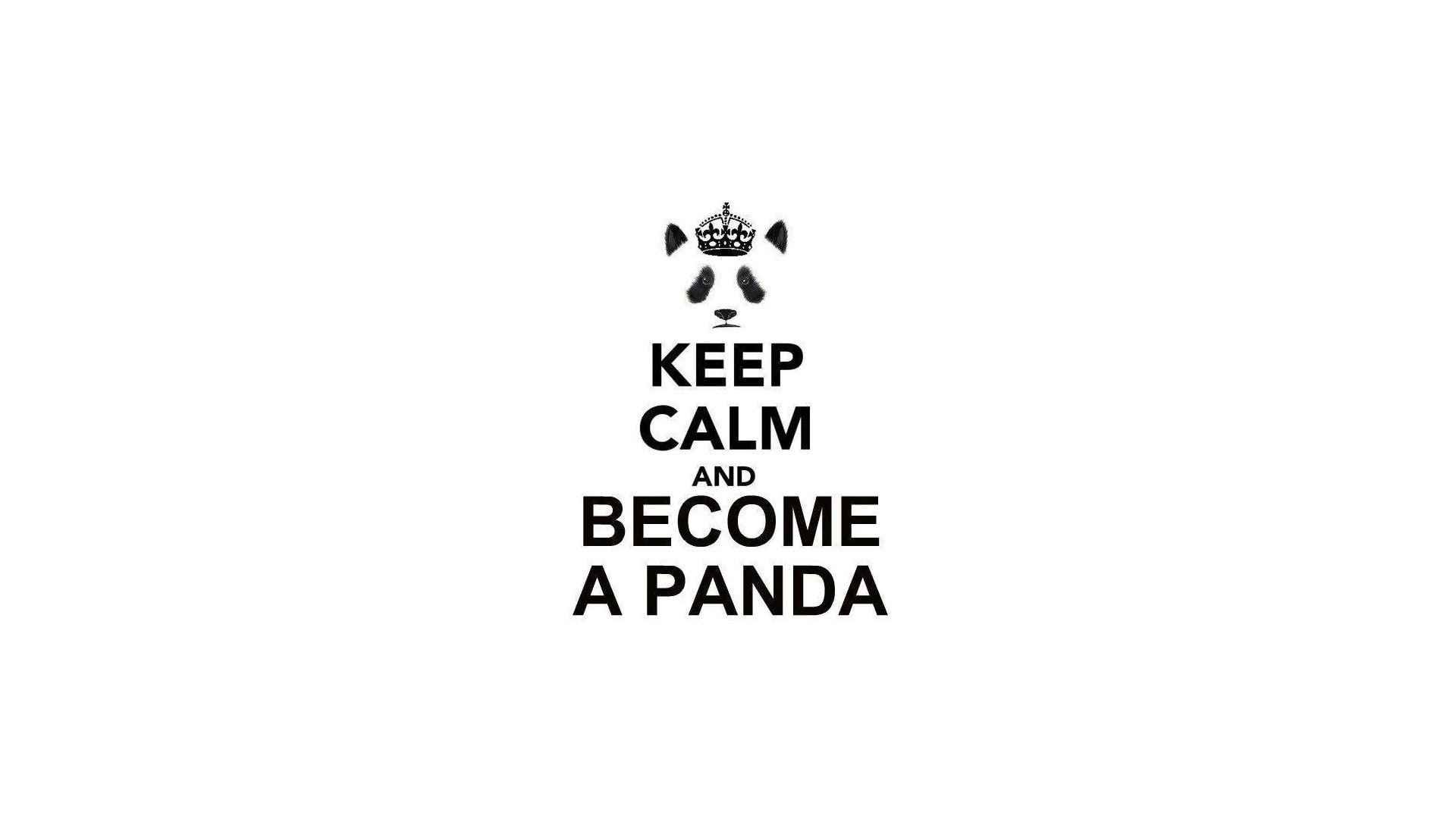Keep Calm and..., minimalism, white background, 1080P, panda, typography, HD Wallpaper