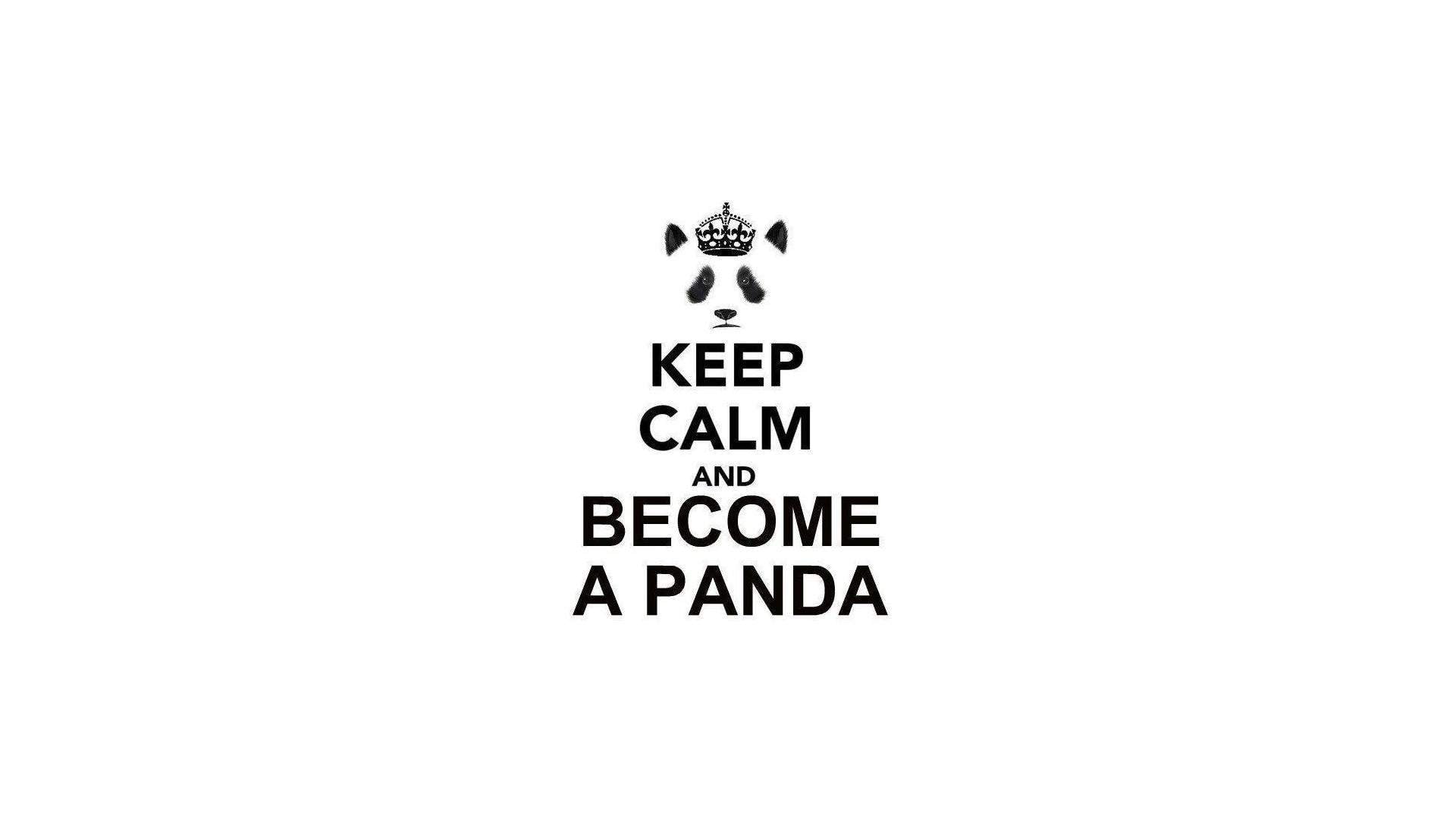 no people, smart labels on the fence, panda, sign, become a Panda, western script, text, cut out, single object, non-western script, dont be a rat, copy space, HD Wallpaper