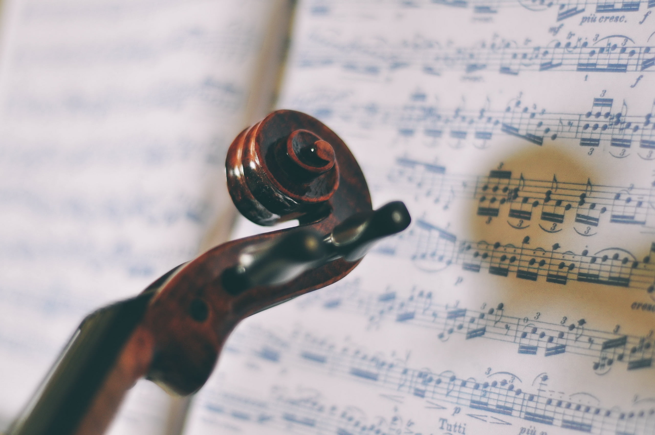 music, musical Note, musical Instrument String, paper, macro, selective Focus, arts culture and entertainment, musician, objects/Equipment, musical Instrument, HD Wallpaper