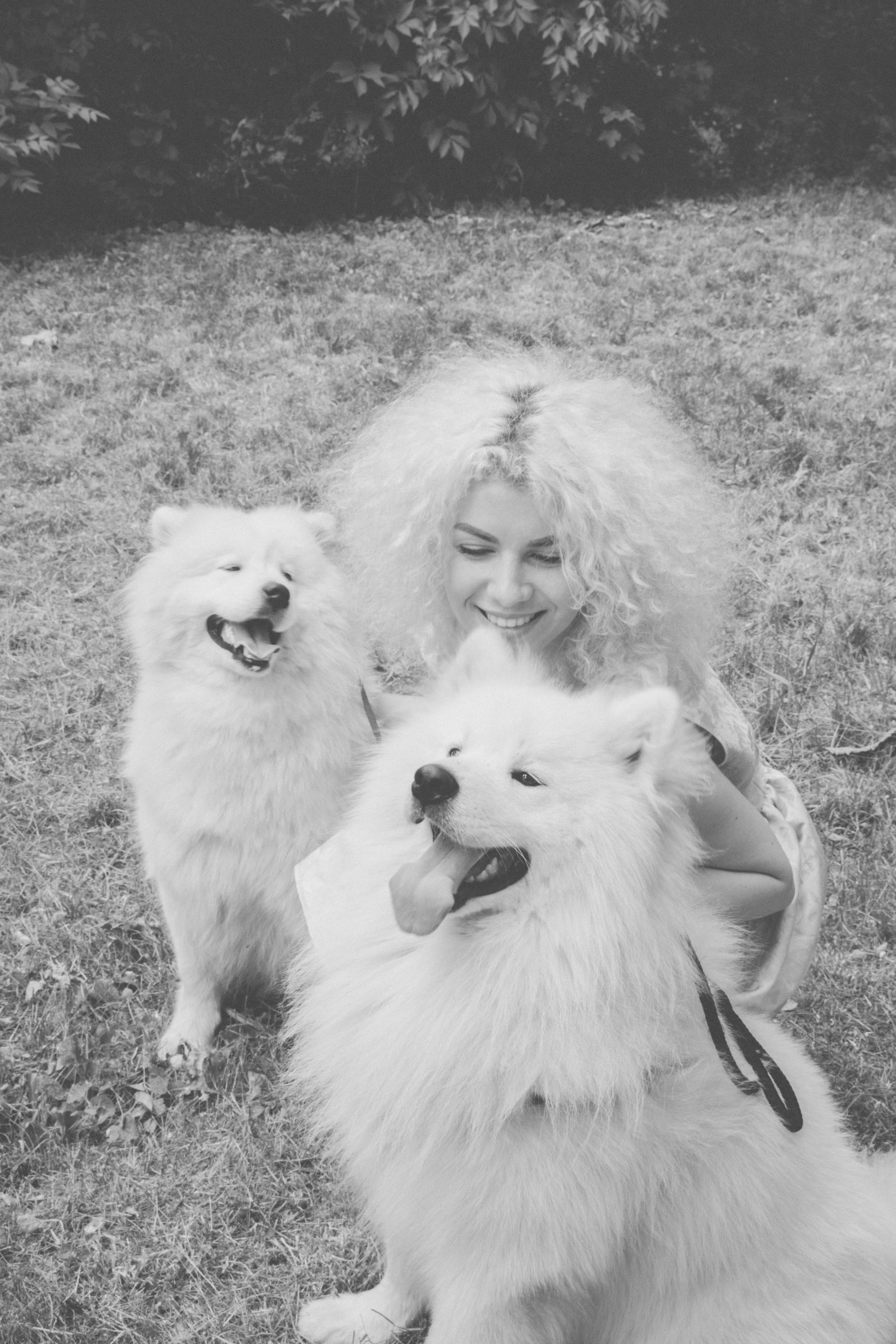 field, lifestyles, pets, curlyhair, vertebrate, happiness, young adult, young women, domestic, canine, grass, mammal, people, smile, women, day, beauty, Phone HD Wallpaper