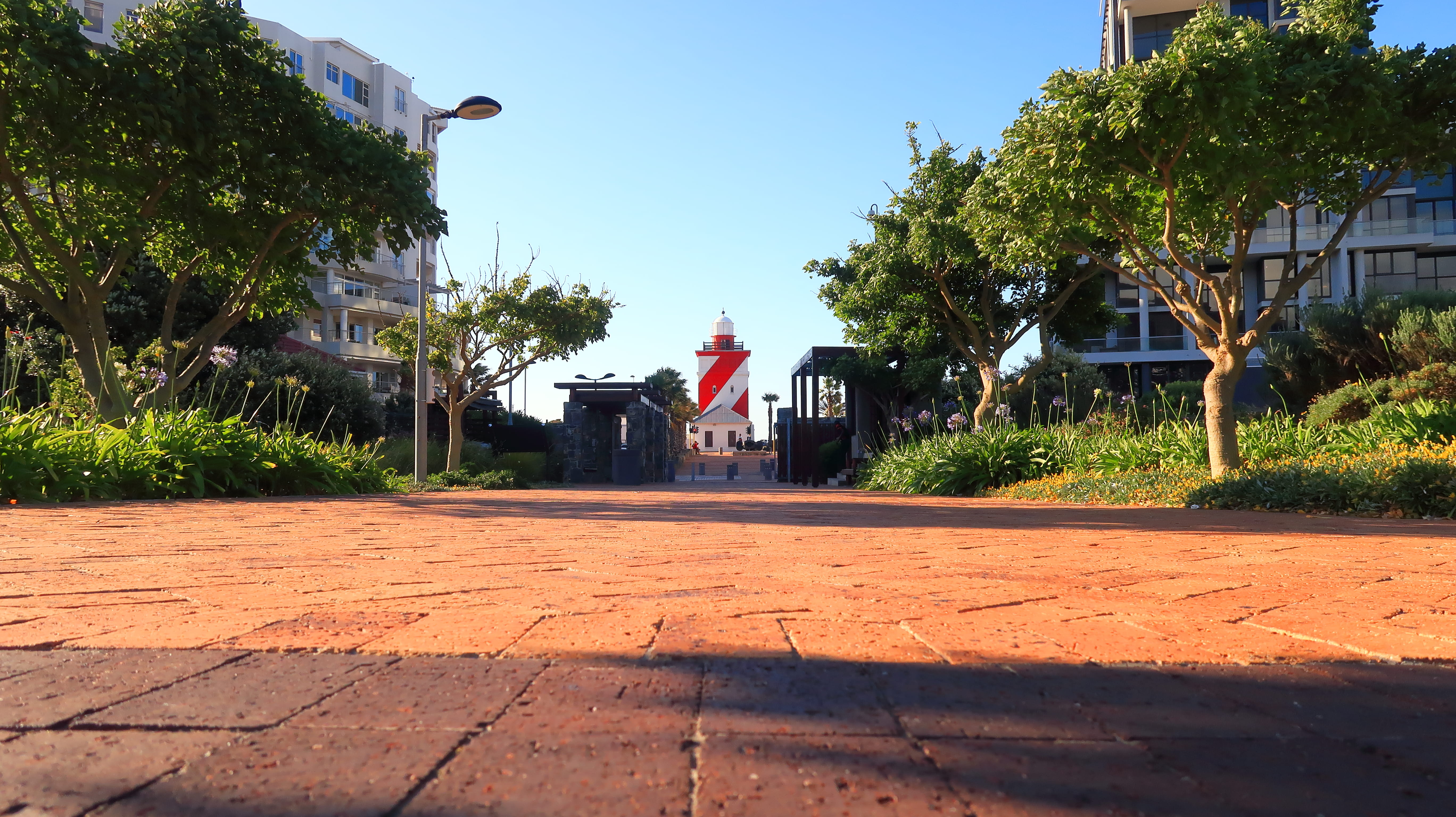 sunlight, road, green point park, shadow, nature, building exterior, footpath, tree, built structure, cape town, the way forward, plant, building, south africa, HD Wallpaper