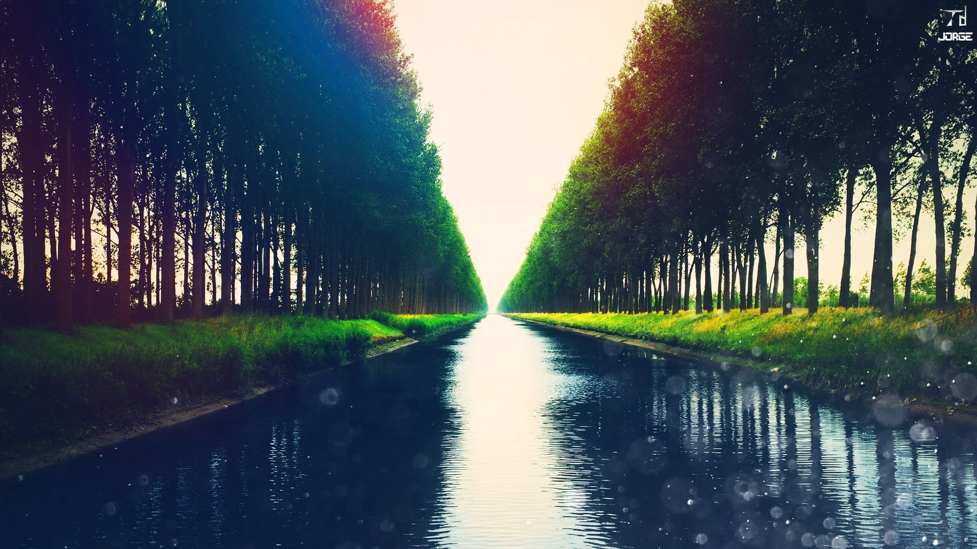 autumn, sky, no People, diminishing perspective, summer, treelined, tranquil Scene, colors, direction, river, backgrounds, tranquility, growth, nature, HD Wallpaper