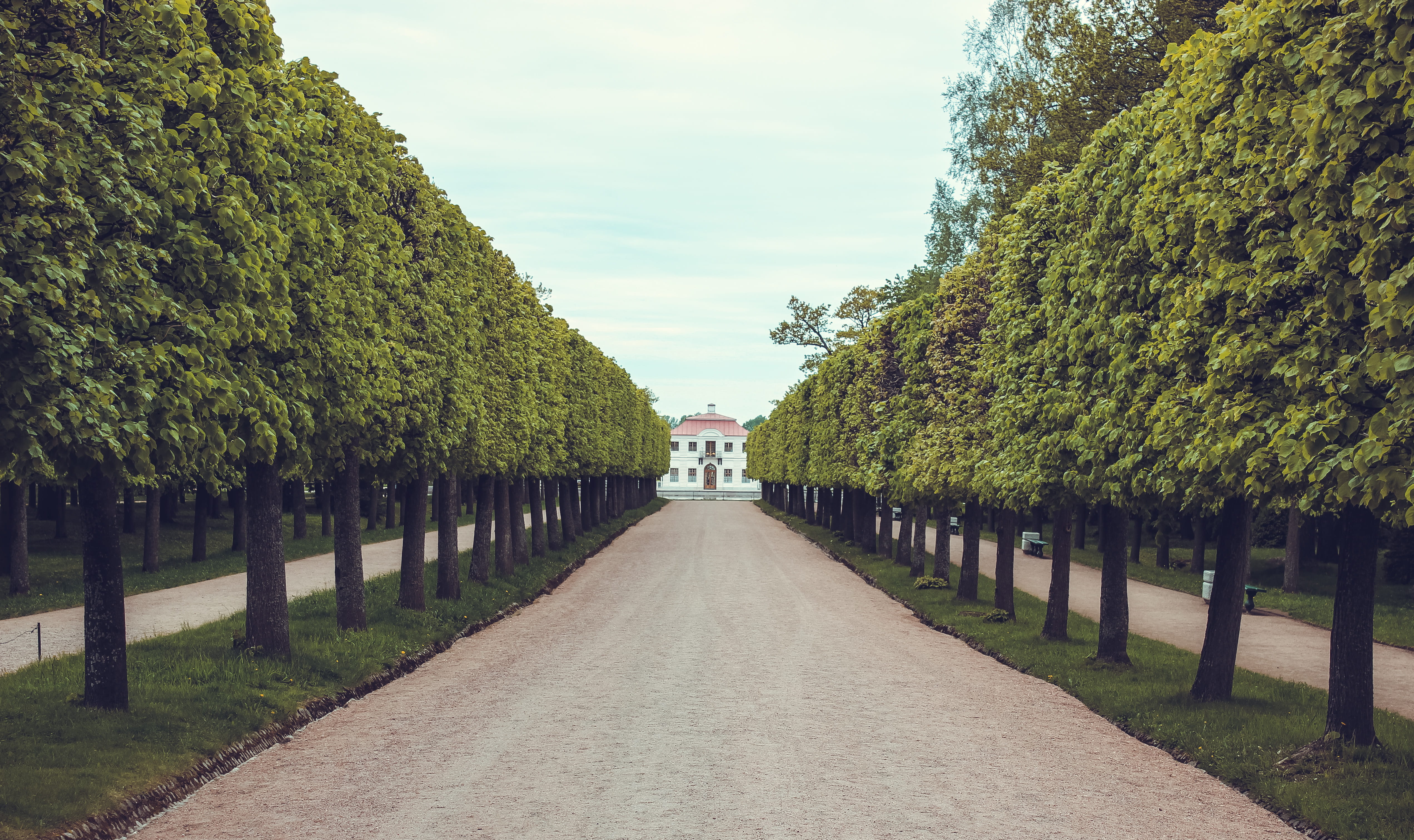 architecture, 4K, sky, long, russia, green color, house, growth, no people, park, diminishing perspective, the way forward, footpath, plant, treelined, HD Wallpaper