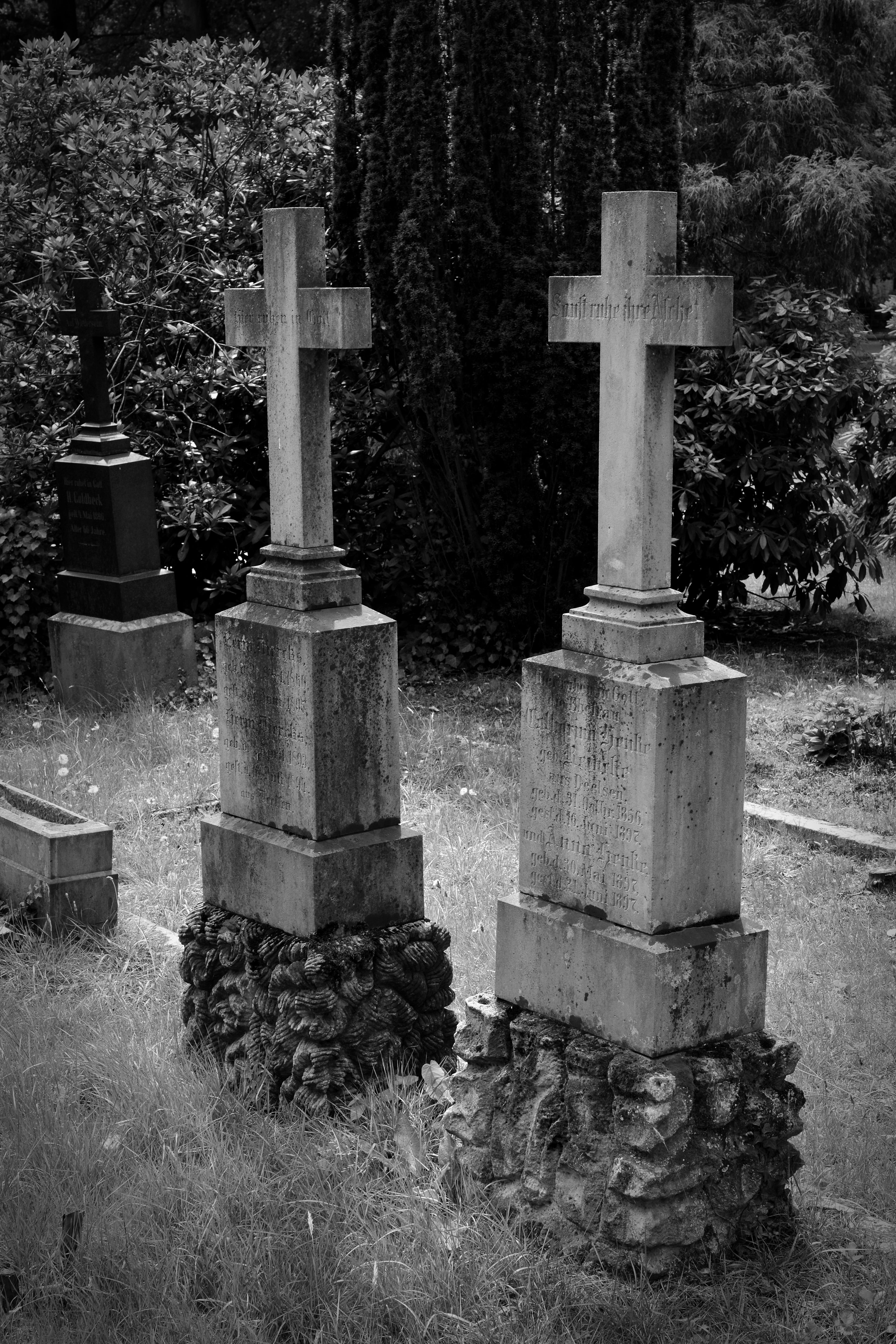 nature, old grave stones, no people, gods acre, grave, outdoors, day, spirituality, history, old, tombstone, stone material, tree, cross, burial ground, Phone HD Wallpaper