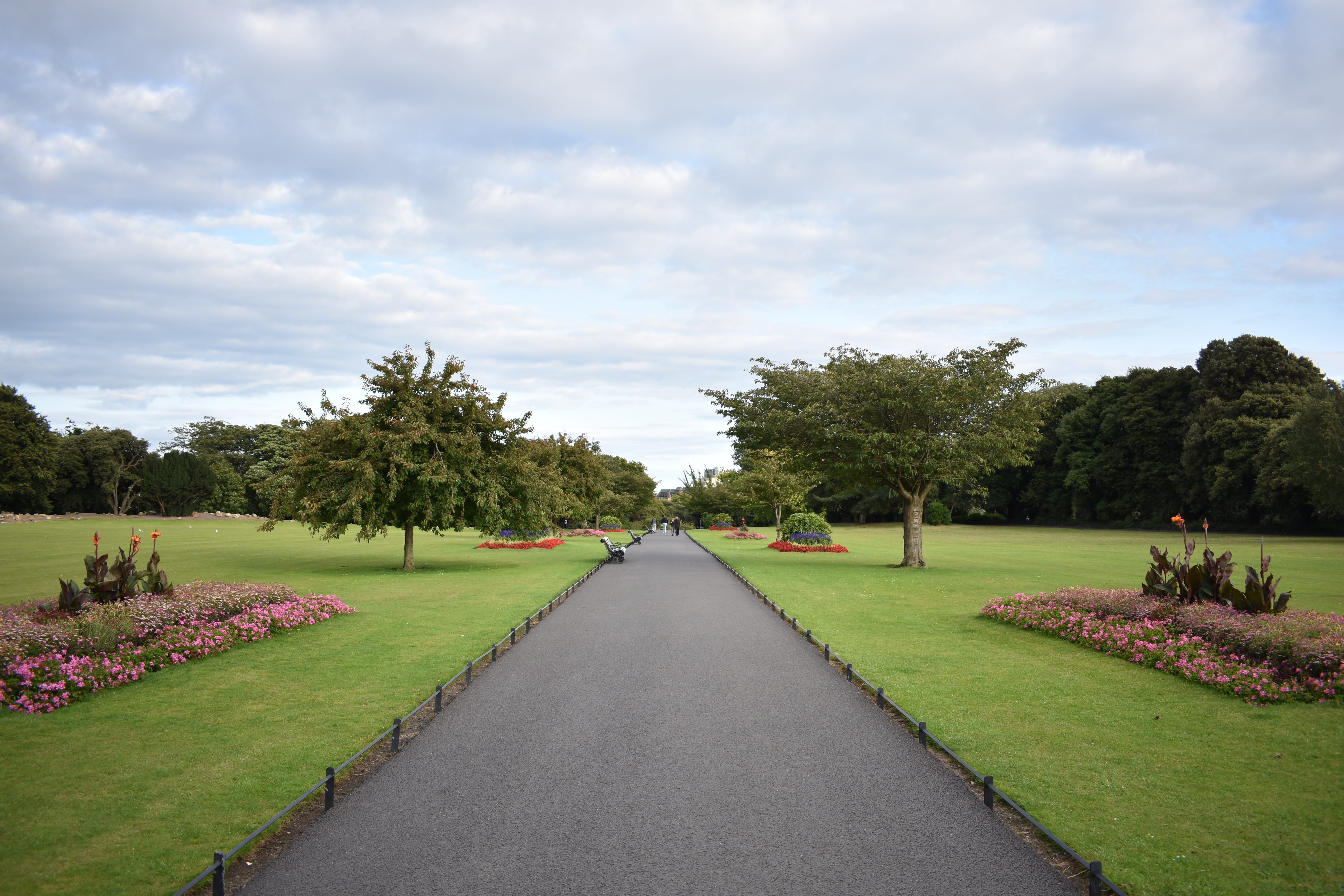 horizon, beauty in nature, nature, design, diminishing perspective, growth, sky, day, outdoors, hedge, park, ornamental garden, panorama, flowering plant, HD Wallpaper