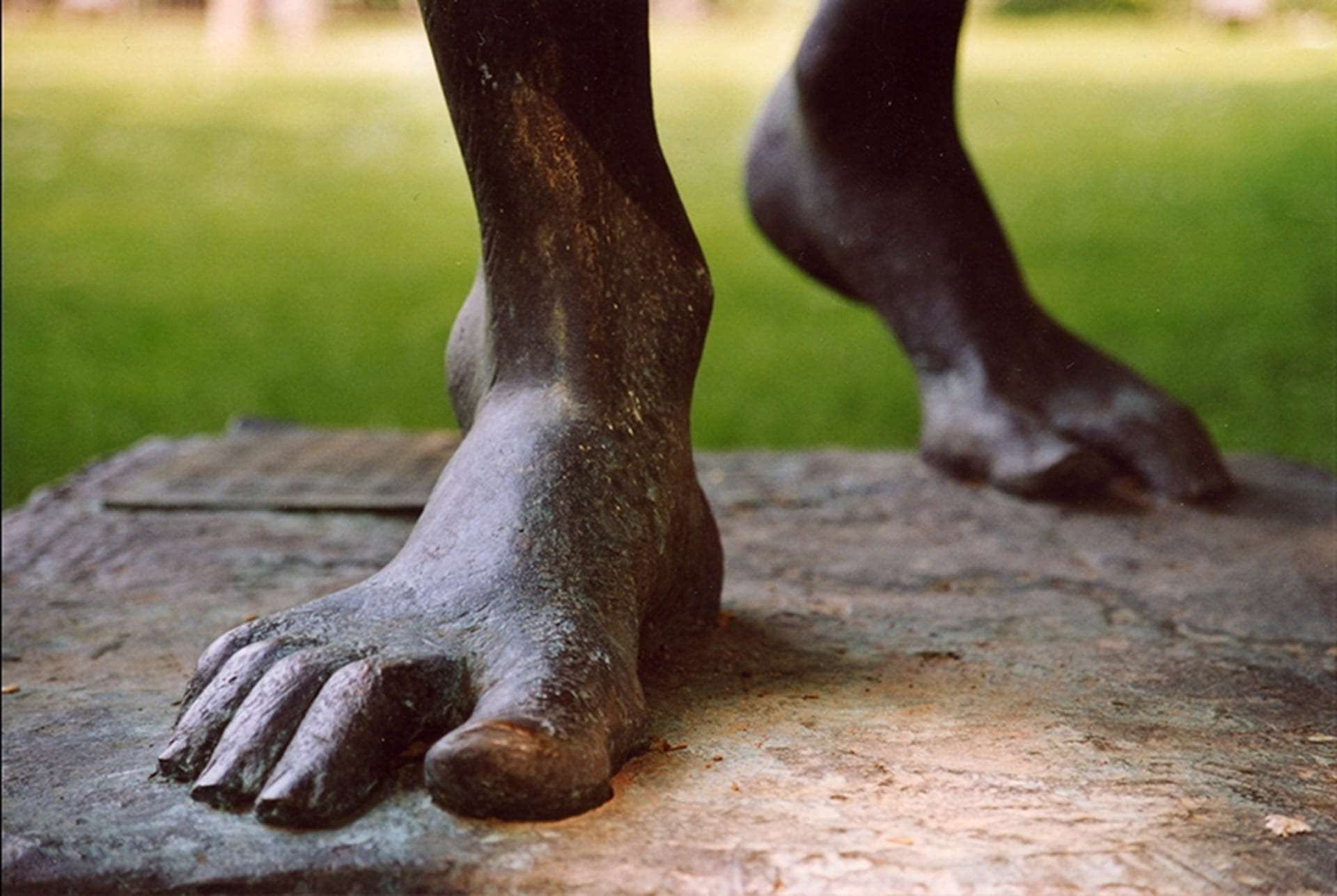 body part, animal leg, foot, human limb, away, barefoot, focus on foreground, mannheim, human body part, close-up, one animal, way of life, holy spirit church, HD Wallpaper
