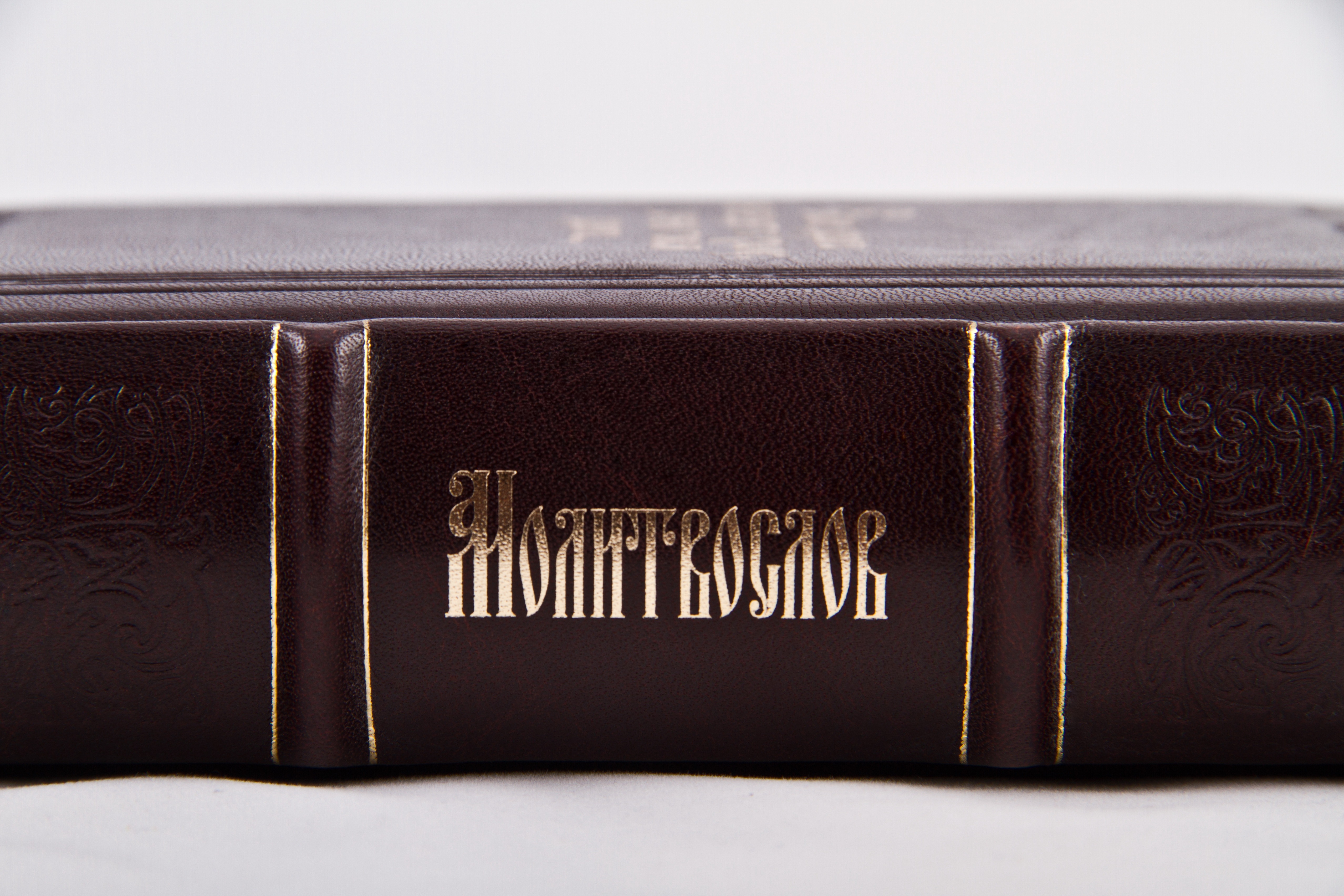 forgiveness, reading, literature, church, hope, book, the believer, light, antique, pray, love, expertise, vera, single object, eternity, religion, christian church, HD Wallpaper
