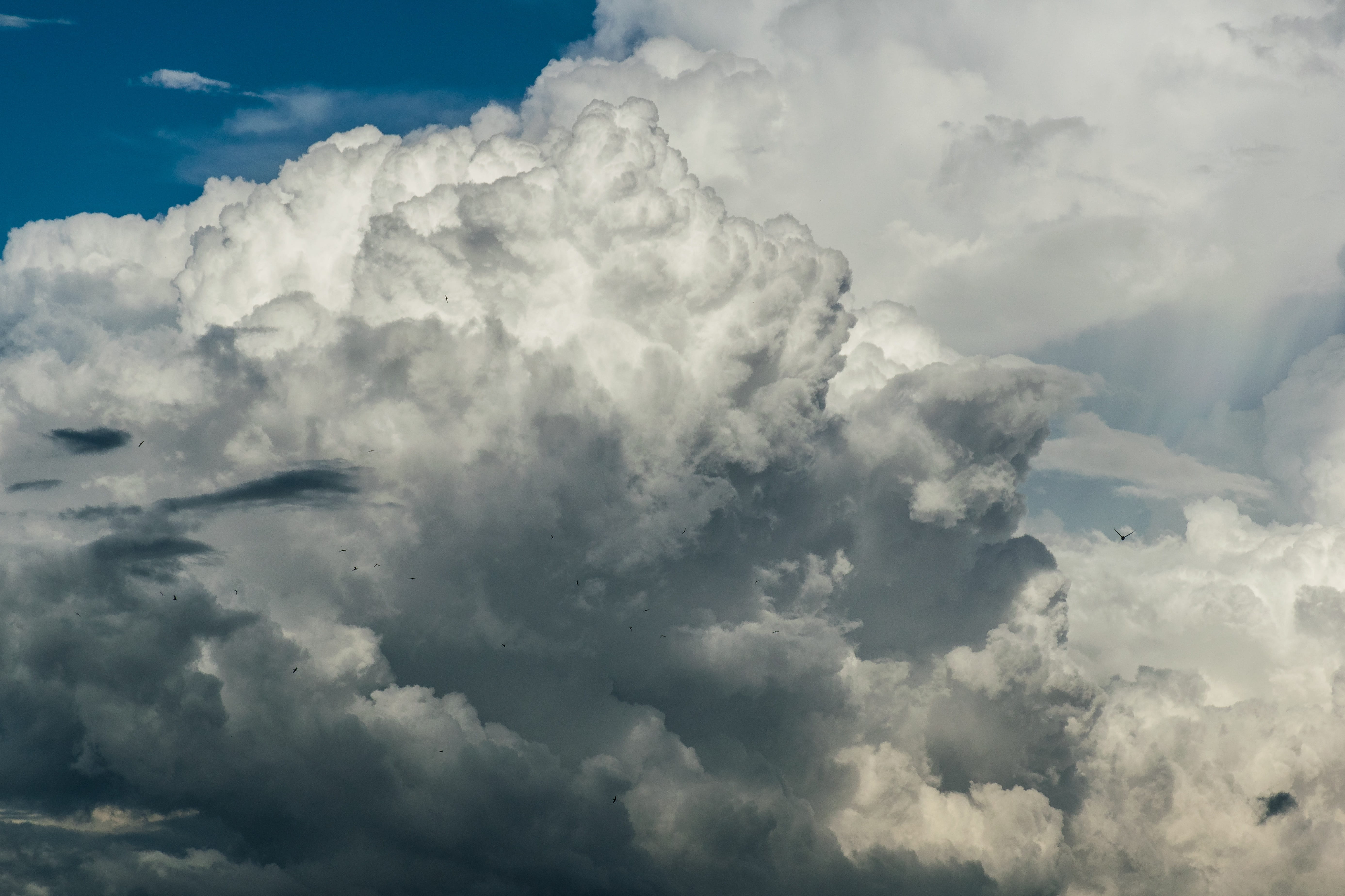 dramatic sky, tranquility, horizon, idyllic, nature, insta, Weather, Clouds, gloomy, tranquil scene, day, scenics, instaclouds, skyporn, beautiful, ominous, HD Wallpaper