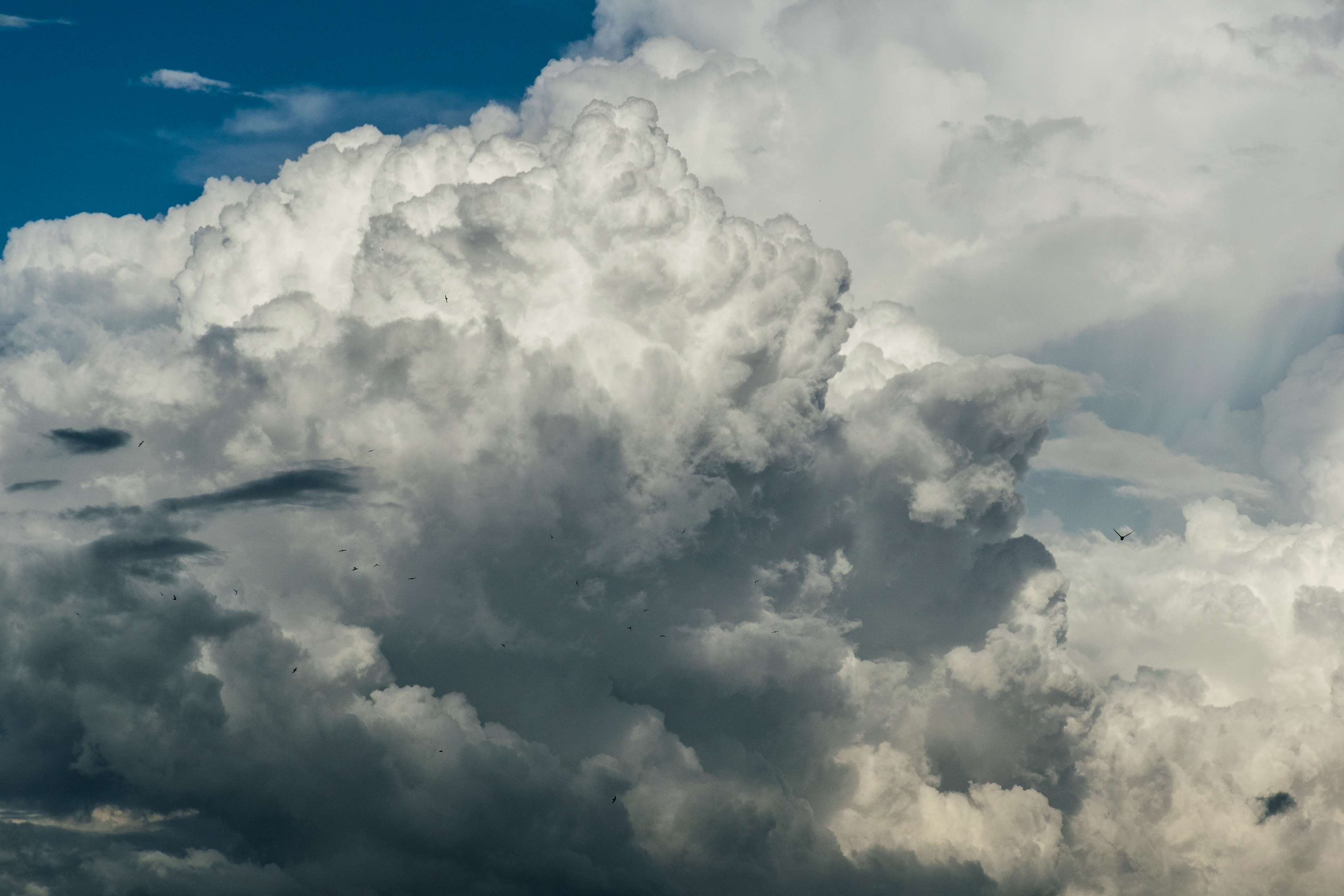day, tranquil scene, nature, skyporn, skyline, scenics - nature, beauty in nature, epicsky, instagood, softness, instaclouds, meteorology, skyback, storm cloud, HD Wallpaper