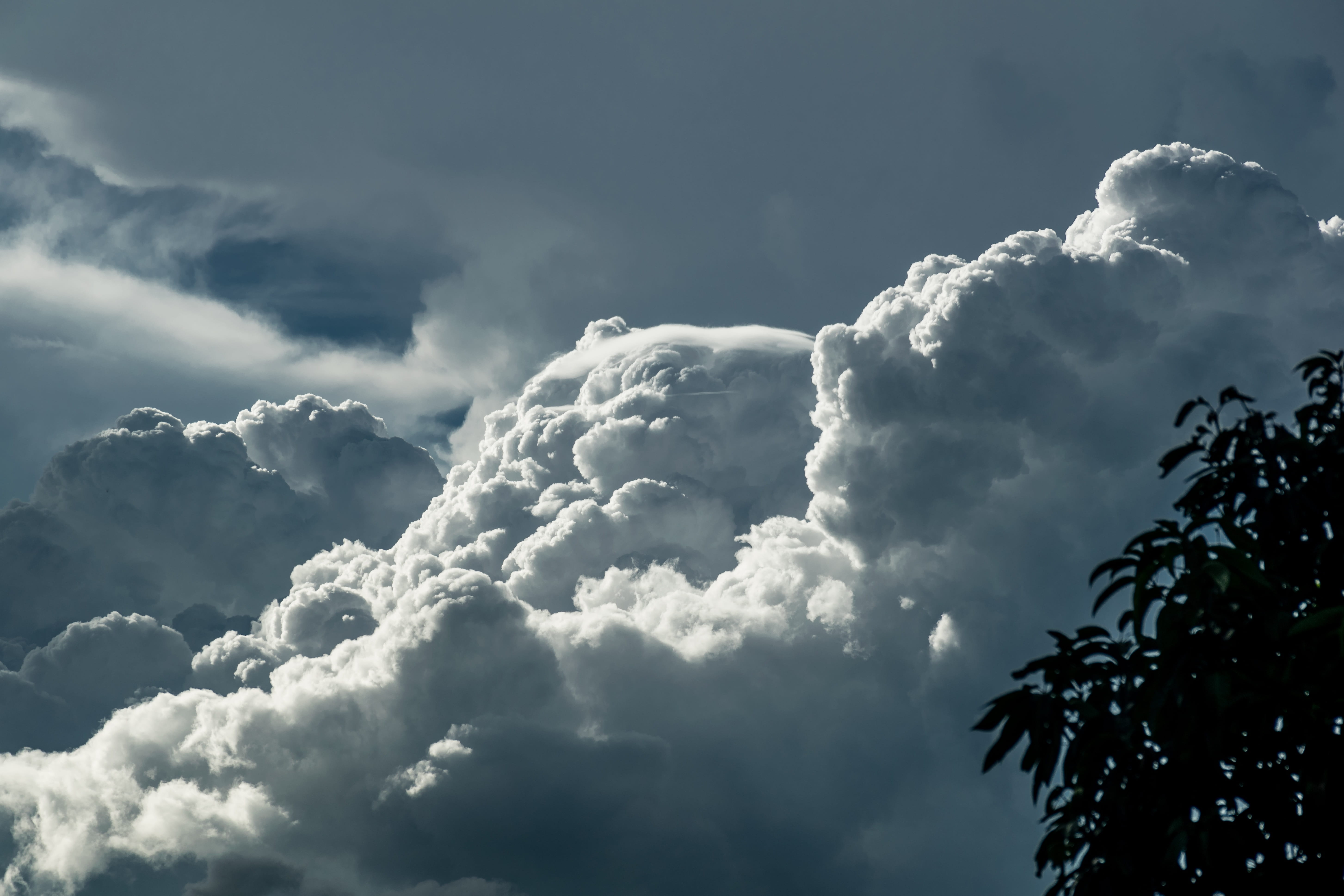 clouds, low angle view, photooftheday, 5K, horizon, cloudscape, dramatic sky, nature, outdoors, weather, lovers, day, backgrounds, cloudy, epicsky, no people, HD Wallpaper