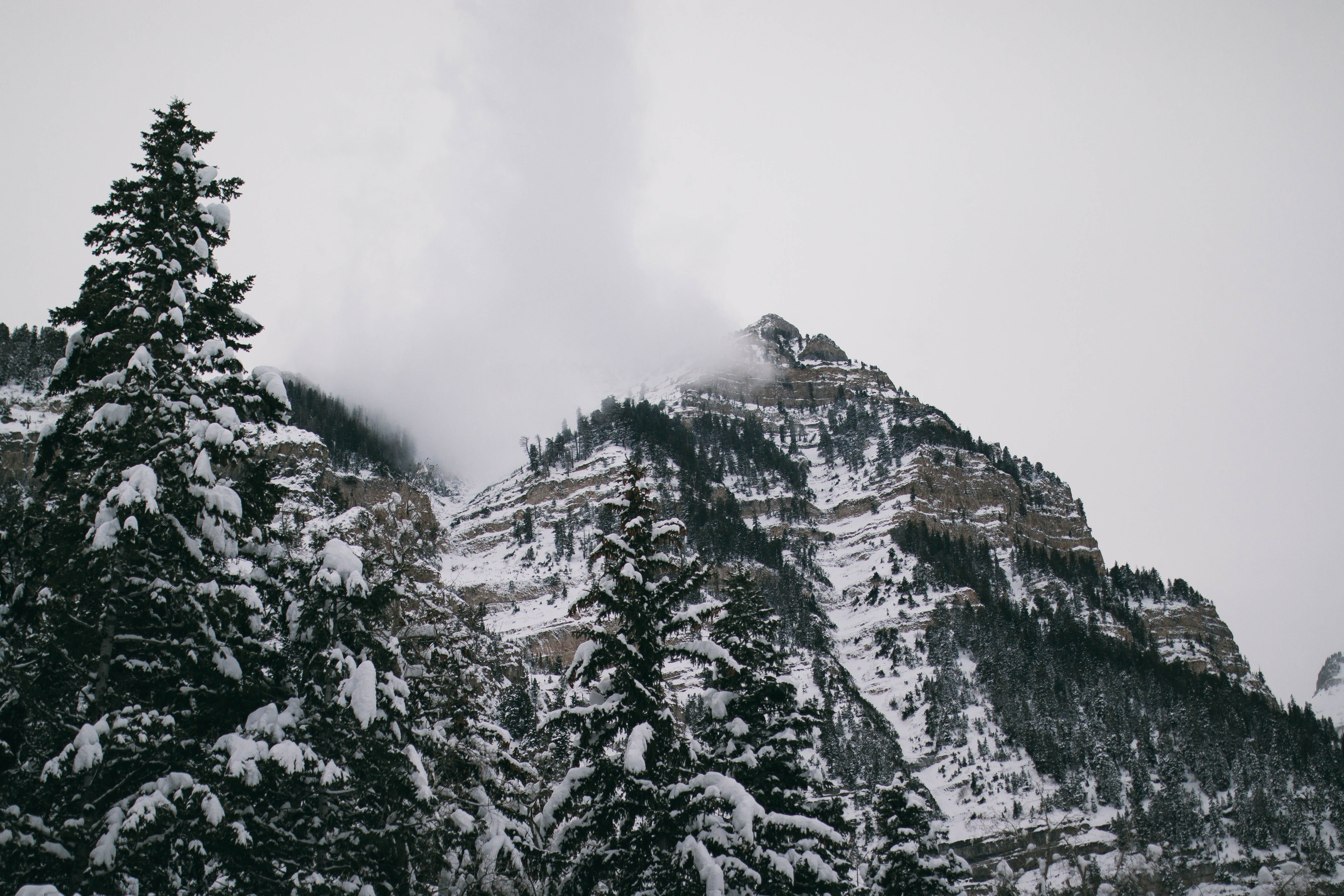 explore, folk, plant, formation, folkvibe, non-urban scene, everydayproject, coniferous tree, winter, tree, tranquil scene, land, outdoor, day, no people, HD Wallpaper
