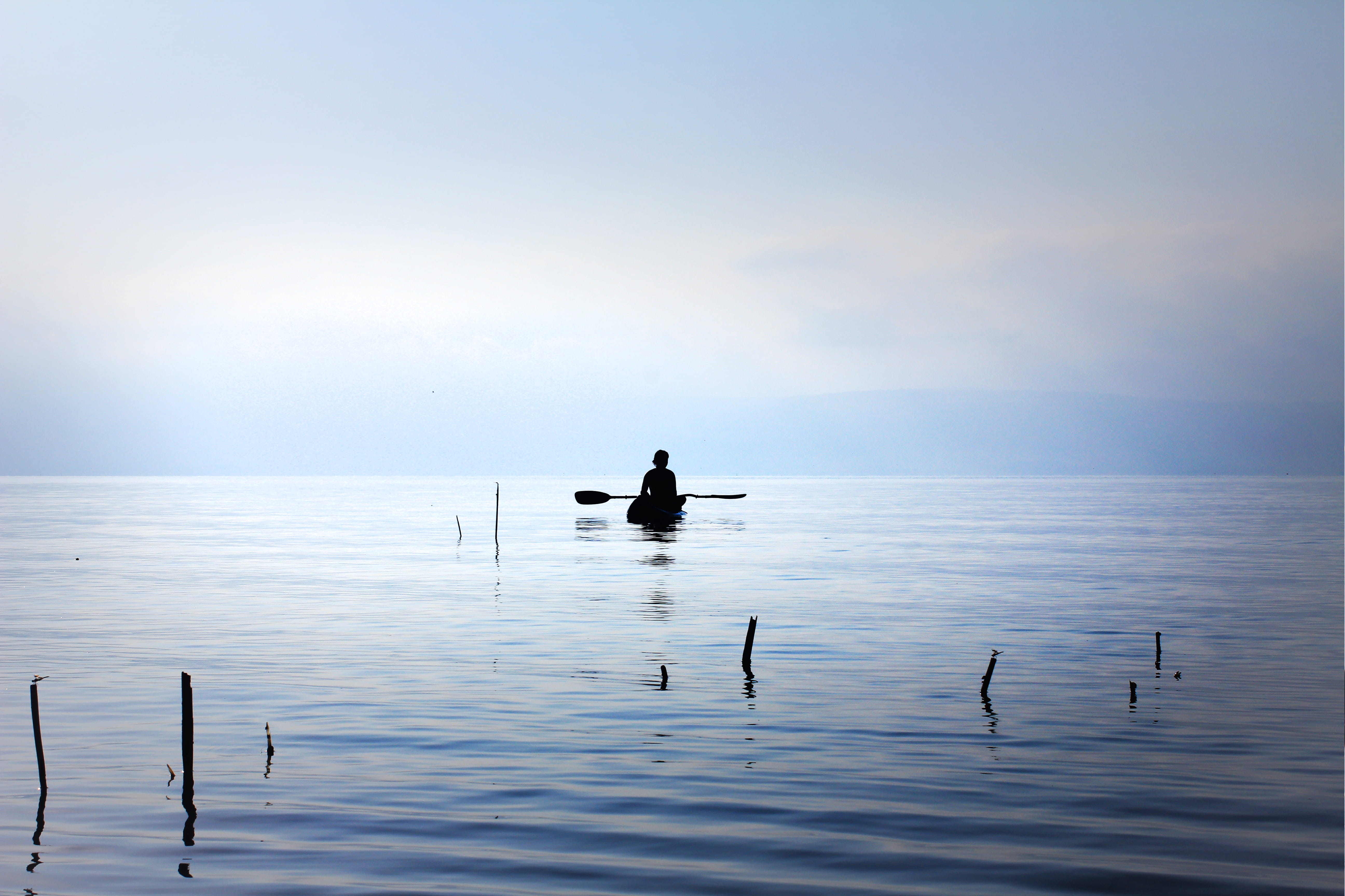 tranquility, outdoors, water, animal themes, scenics - nature, kid, sky, sea, silhouette, horizon, 5K, kayak, tranquil scene, israel, patience, bird, horizon over water, HD Wallpaper