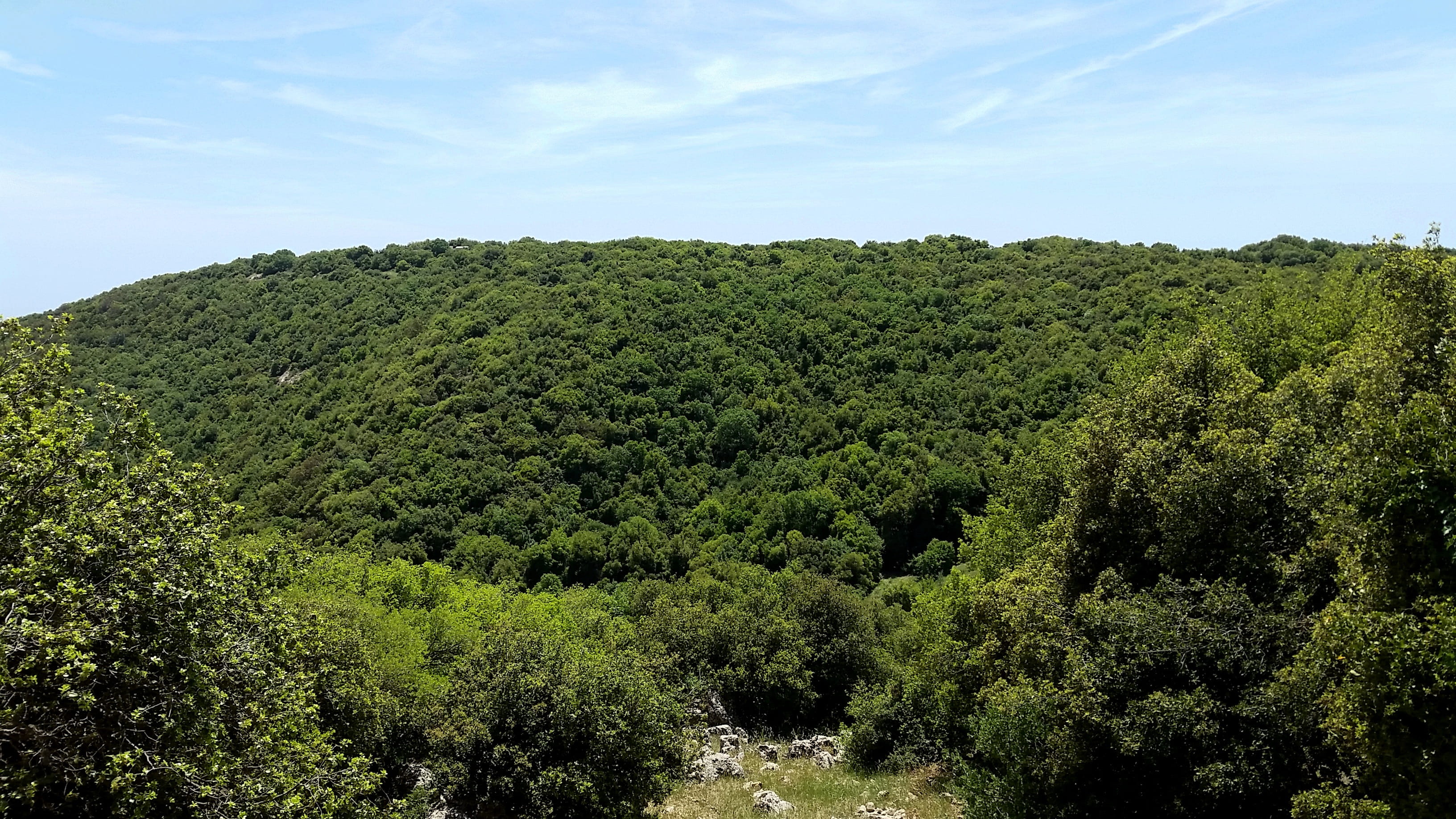 beauty in nature, hill, green, forest, rainforest, galilee, no people, scenics - nature, tranquil scene, tranquility, sky, non-urban scene, plant, green color, HD Wallpaper