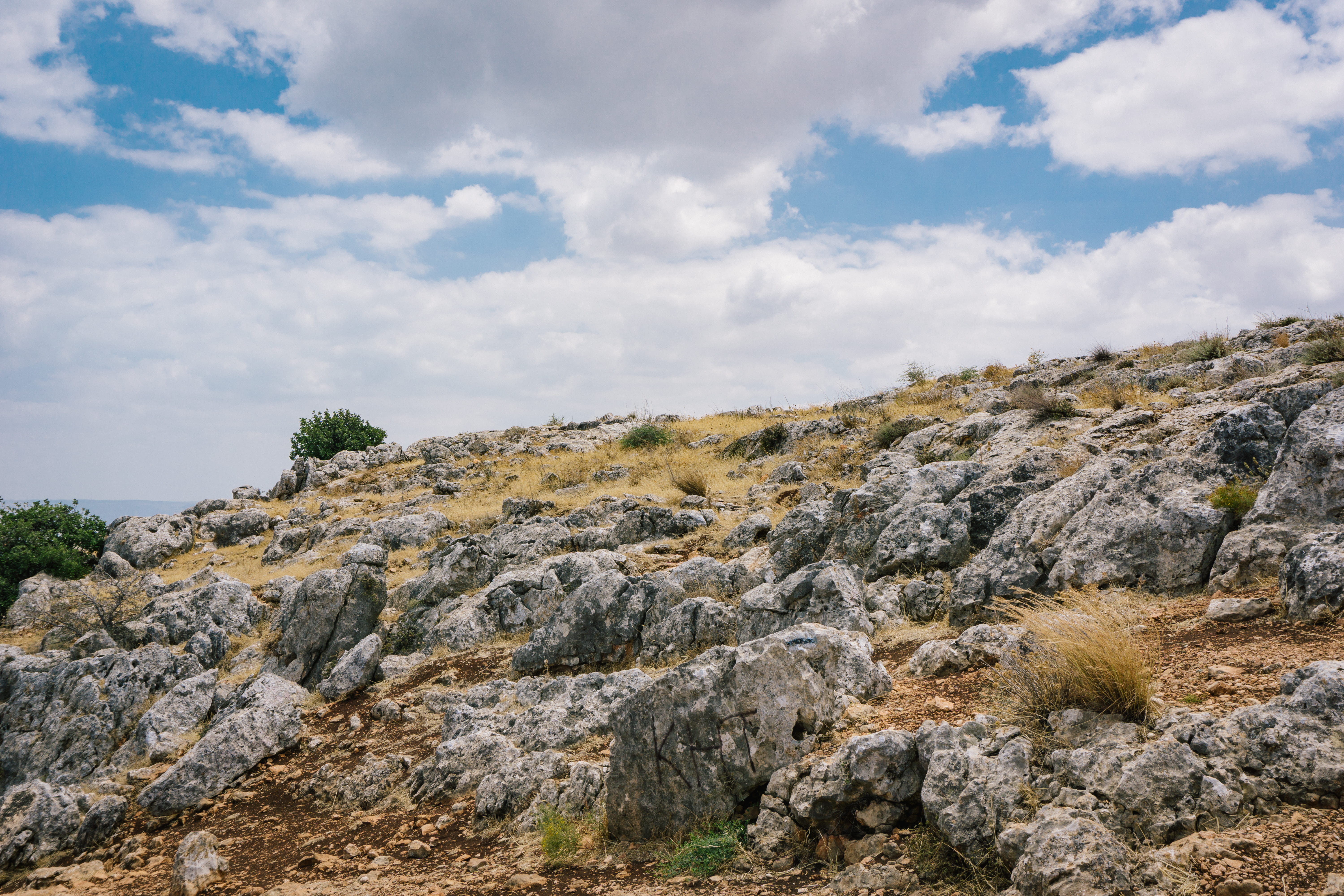 rock, galilee, solid, land, grass, tranquility, rock - object, non-urban scene, mountain, outdoors, plants, day, beauty in nature, hill, israel, landscape, HD Wallpaper