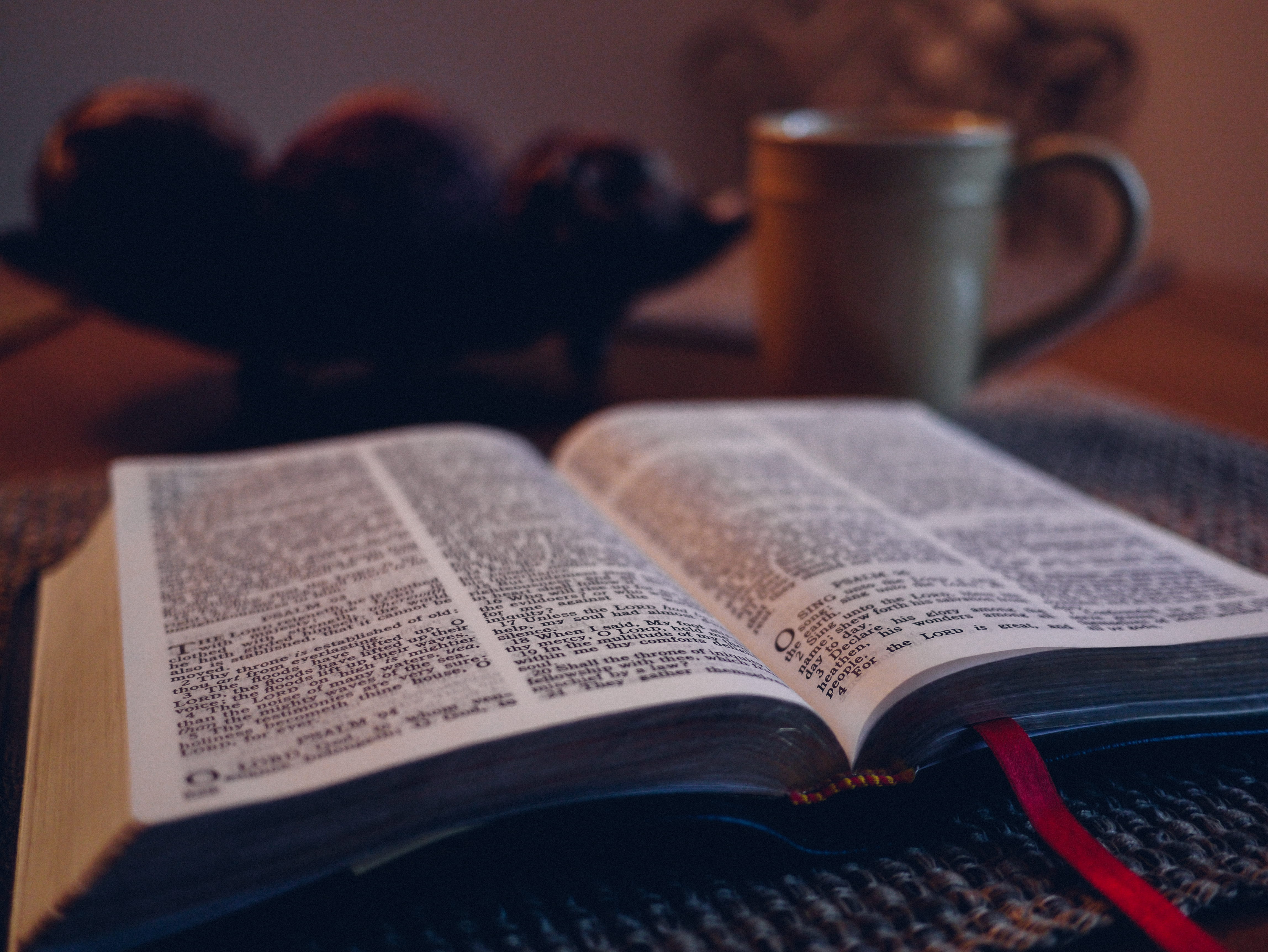 education, paper, beside, text, drink, white, the media, bible, grey, photography, table, religion, reading, people, activity, still life, mat, newspaper, HD Wallpaper
