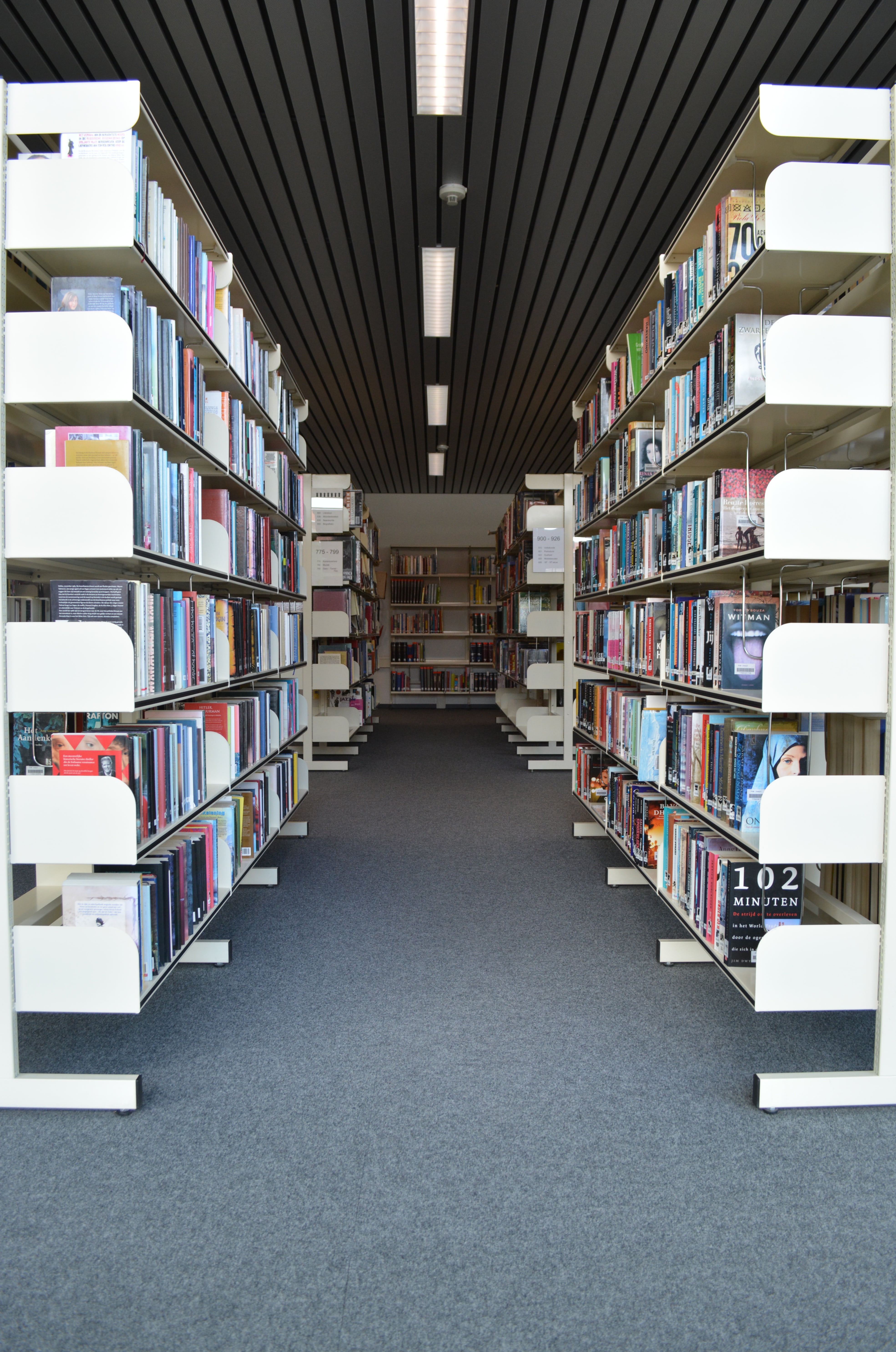 order, indoors, library, learning, school, building, education, bookshelf, choice, university, ceiling, publication, literature, variation, abundance, read, Phone HD Wallpaper