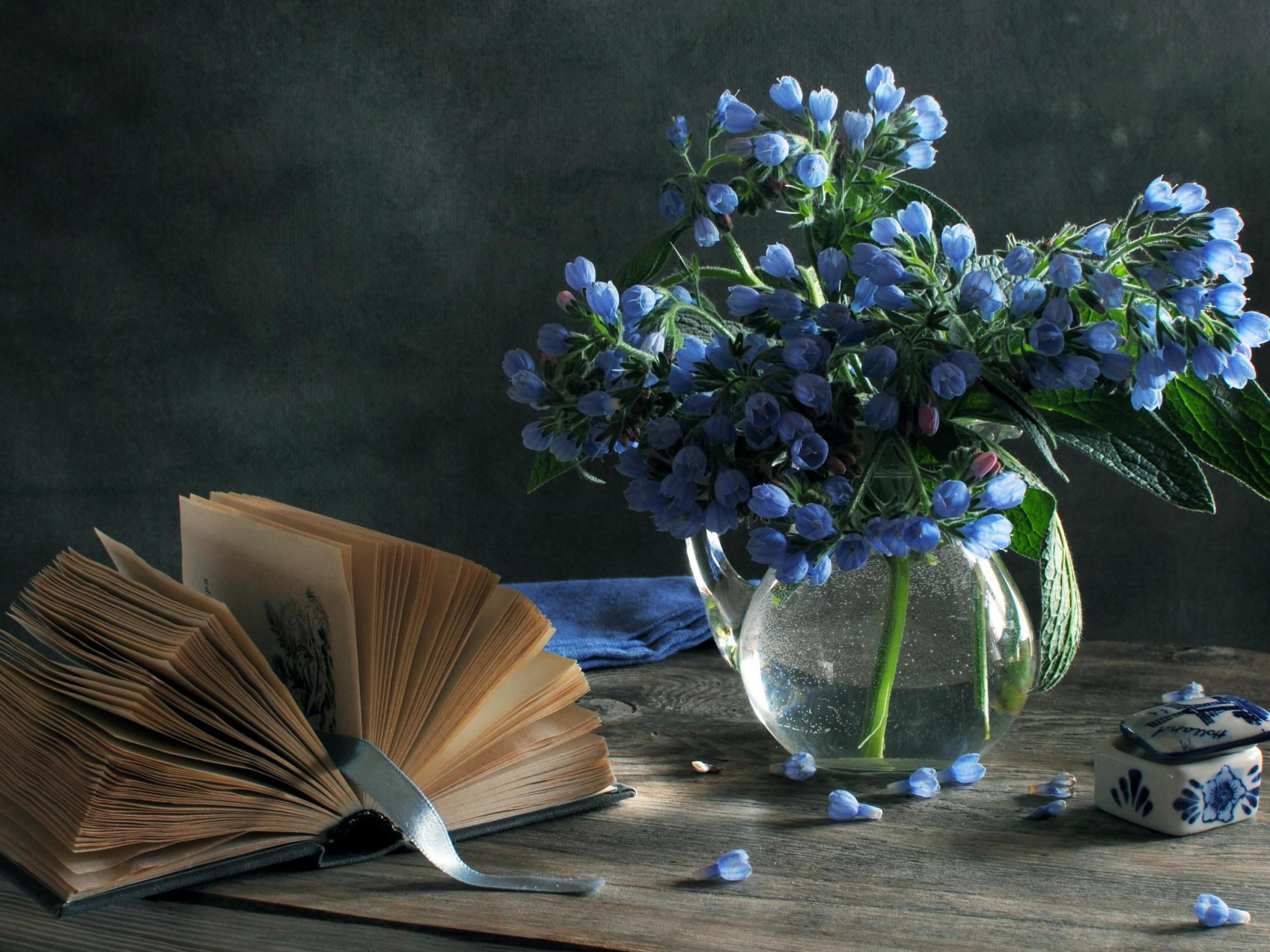 decoration, book, blue, flower head, vase, bunch of flowers, gently, page, wood - Material, backgrounds, petal, publication, freshness, no people, bouquet, HD Wallpaper