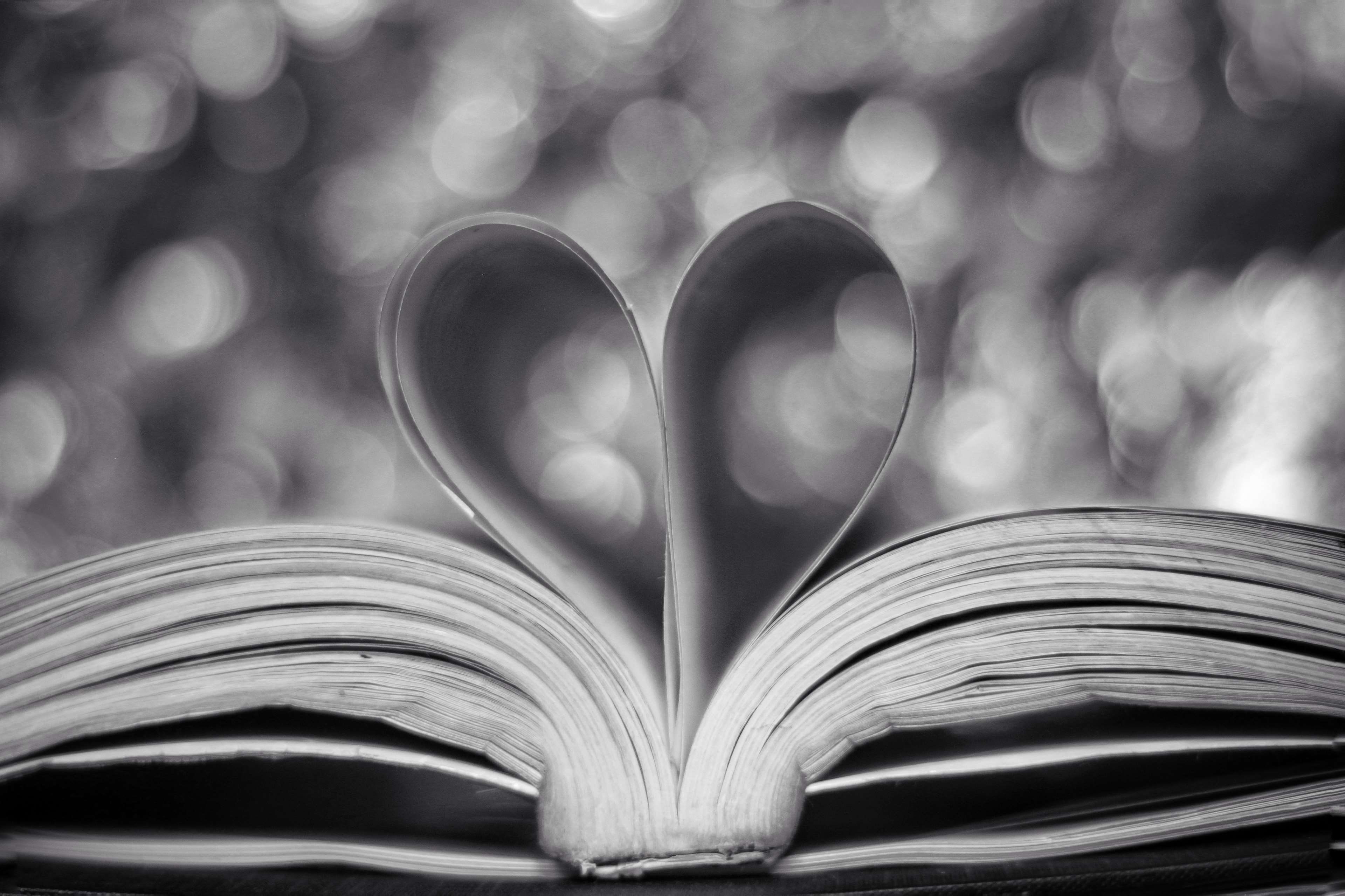 still life, learning, expertise, paper, black and white, open, valentines day - holiday, circles, monochrome, 4K, page, monochrome photography, heart, HD Wallpaper