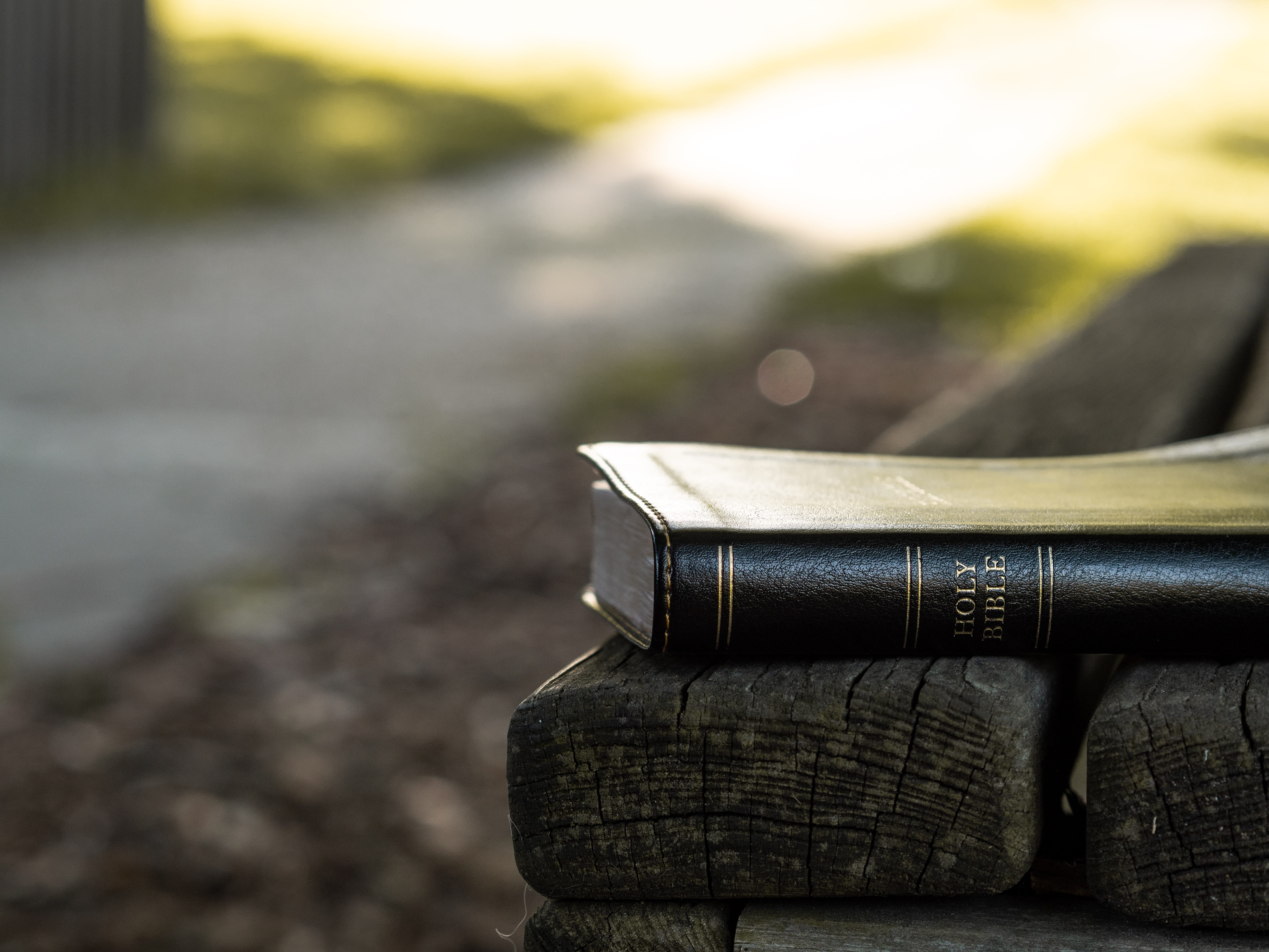 scripture, publication, water, still life, sidewalk, book, 5K, morning, landscape, close-up, old, religious, christian, path, bible, focus on foreground, HD Wallpaper