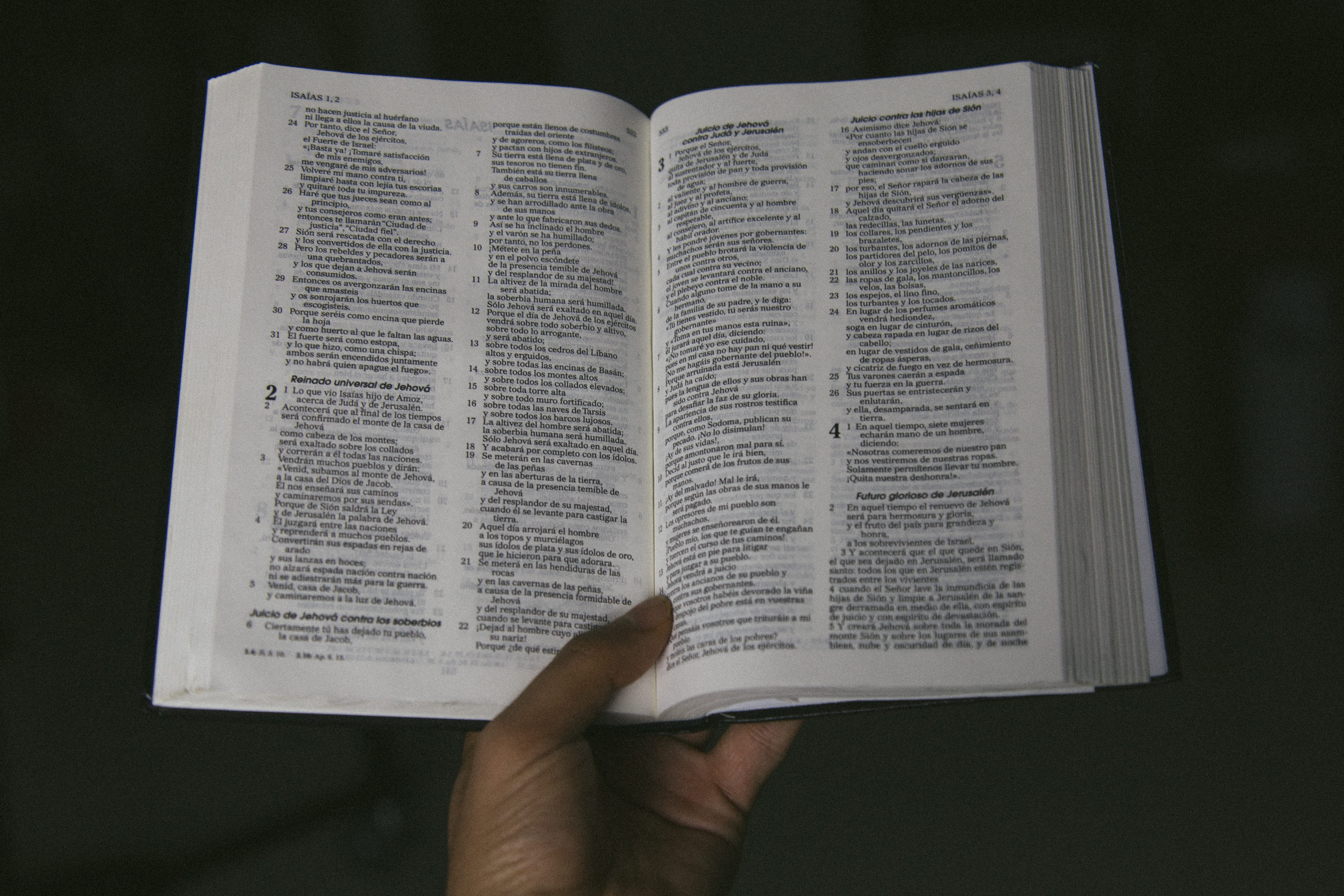 document, menu, human hand, christians, activity, education, holding, 4K, hand, reading, publication, black background, revelation, diary, god, bible, HD Wallpaper