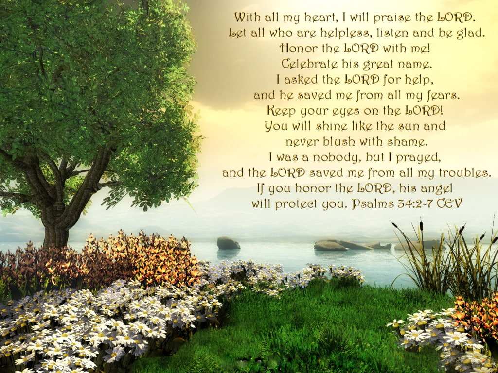 hd, d, grass, cg, art, tree, sky, will, scripture, Abstract, praise, 480P, HD Wallpaper