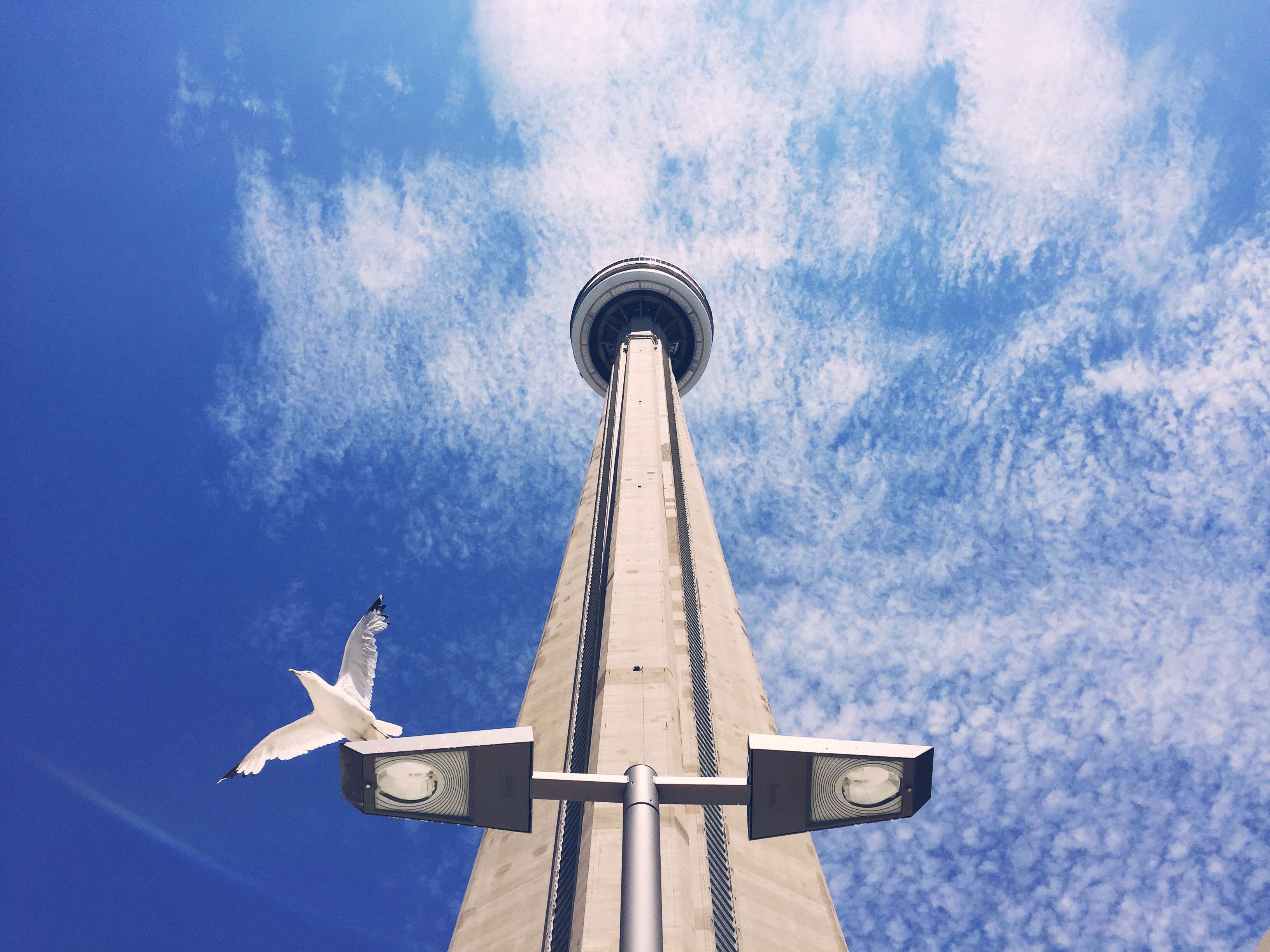 plane, place of worship, toronto, outdoors, iconic, urban, worms eye view, high, built structure, skyscraper, directly below, exploration, blue, cn tower, HD Wallpaper