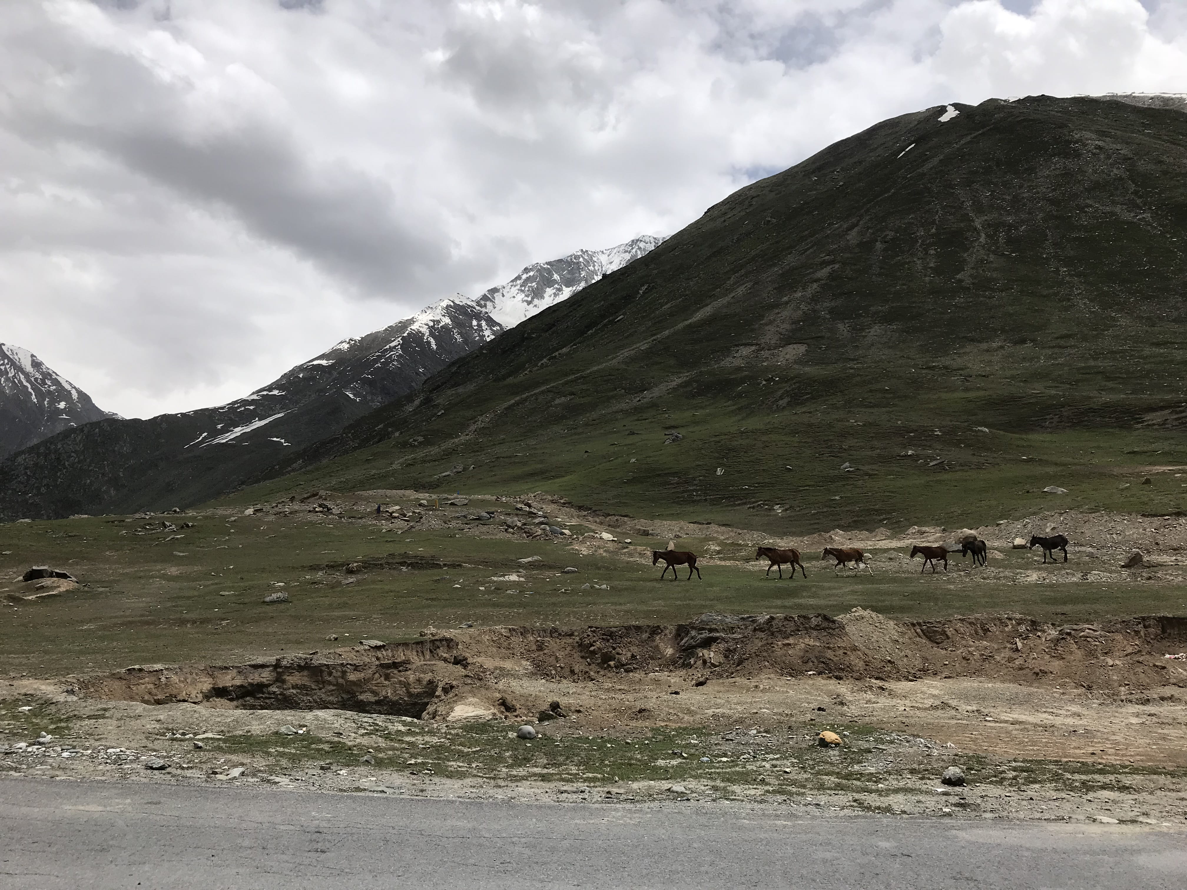 mountain, cloud - sky, scenics - nature, group of animals, mountains, india, animal, nature, tranquil scene, land, himalayas, non-urban scene, day, outdoors, HD Wallpaper