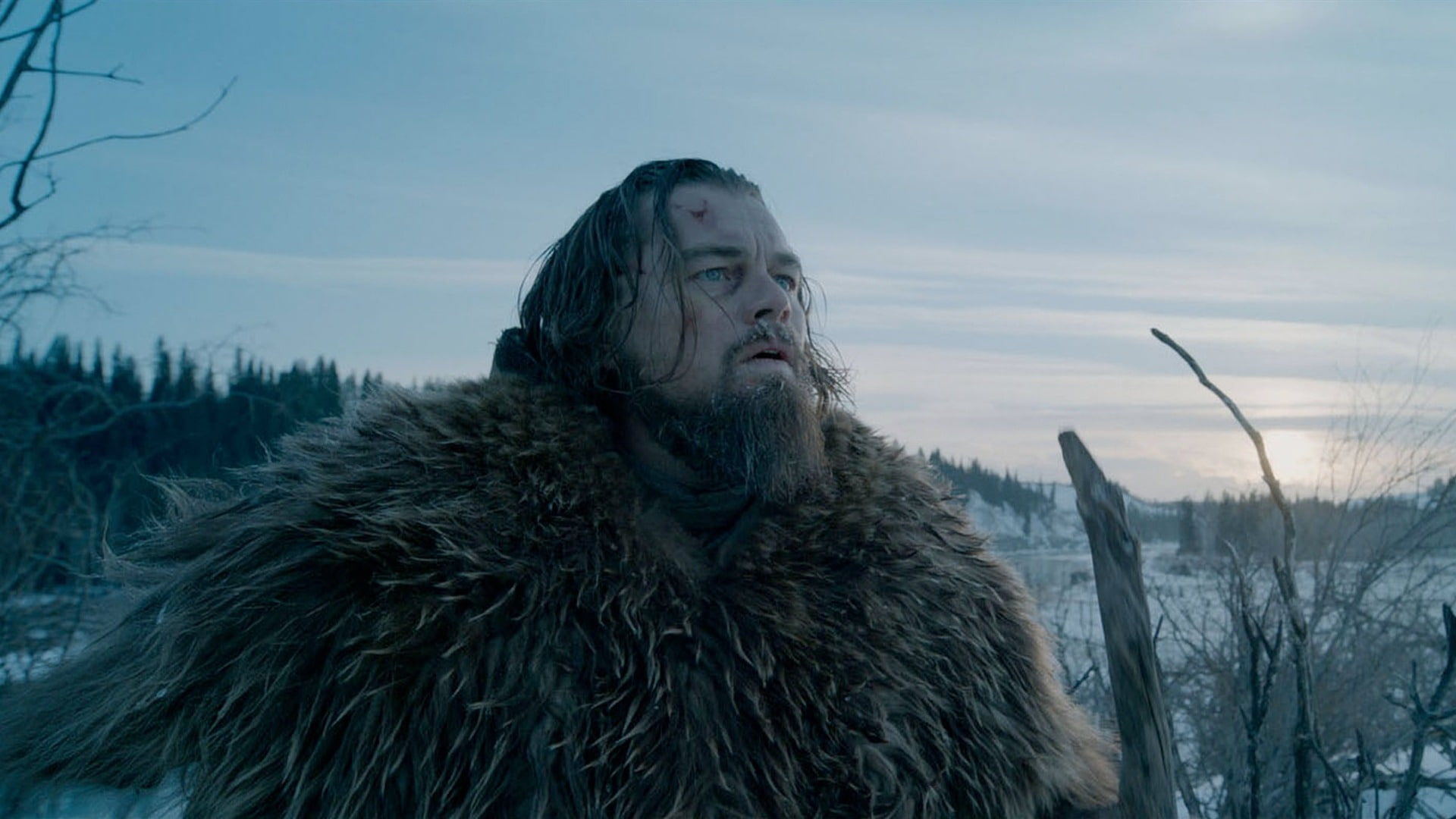 vertebrate, leonardo, land, one animal, dicaprio, snow, revenant, cloud - sky, nature, focus on foreground, day, sky, 1080P, outdoors, winter, HD Wallpaper