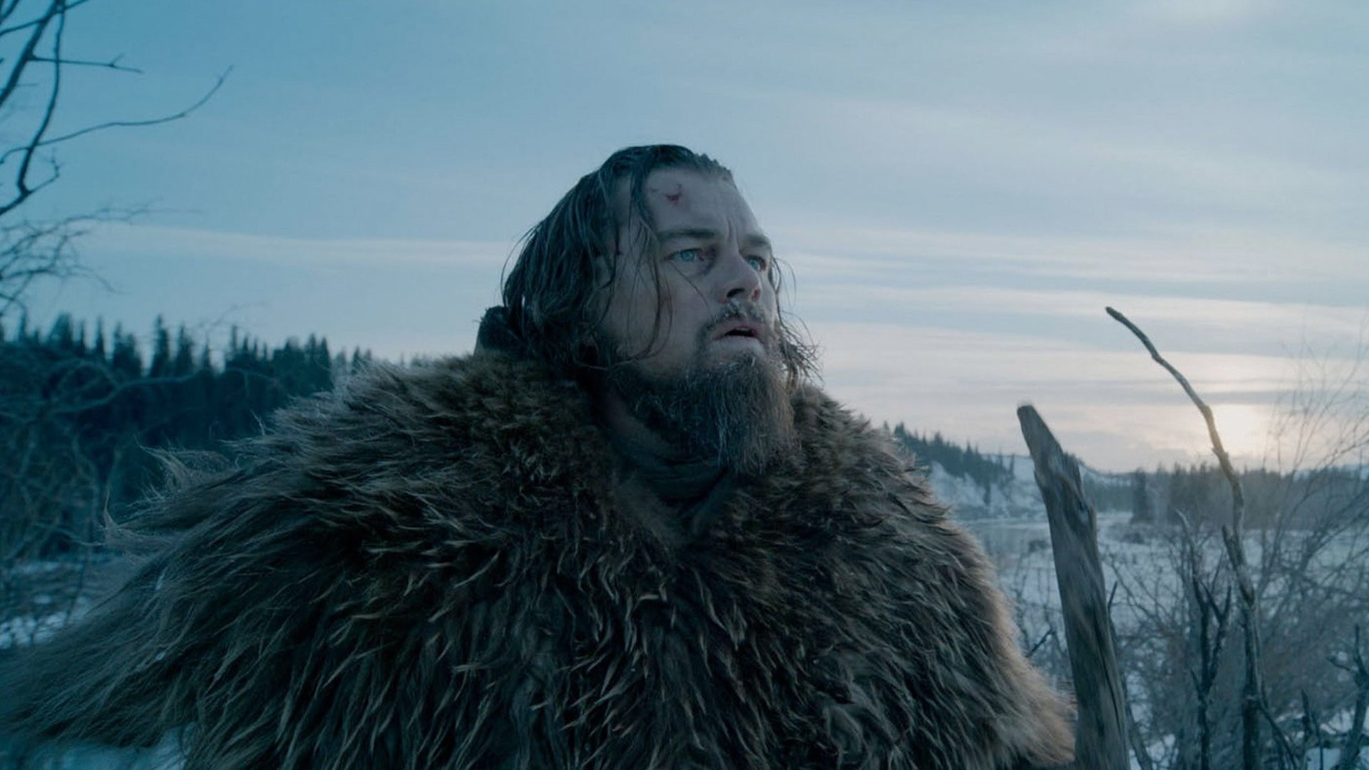 1080P, the revenant, HD Wallpaper