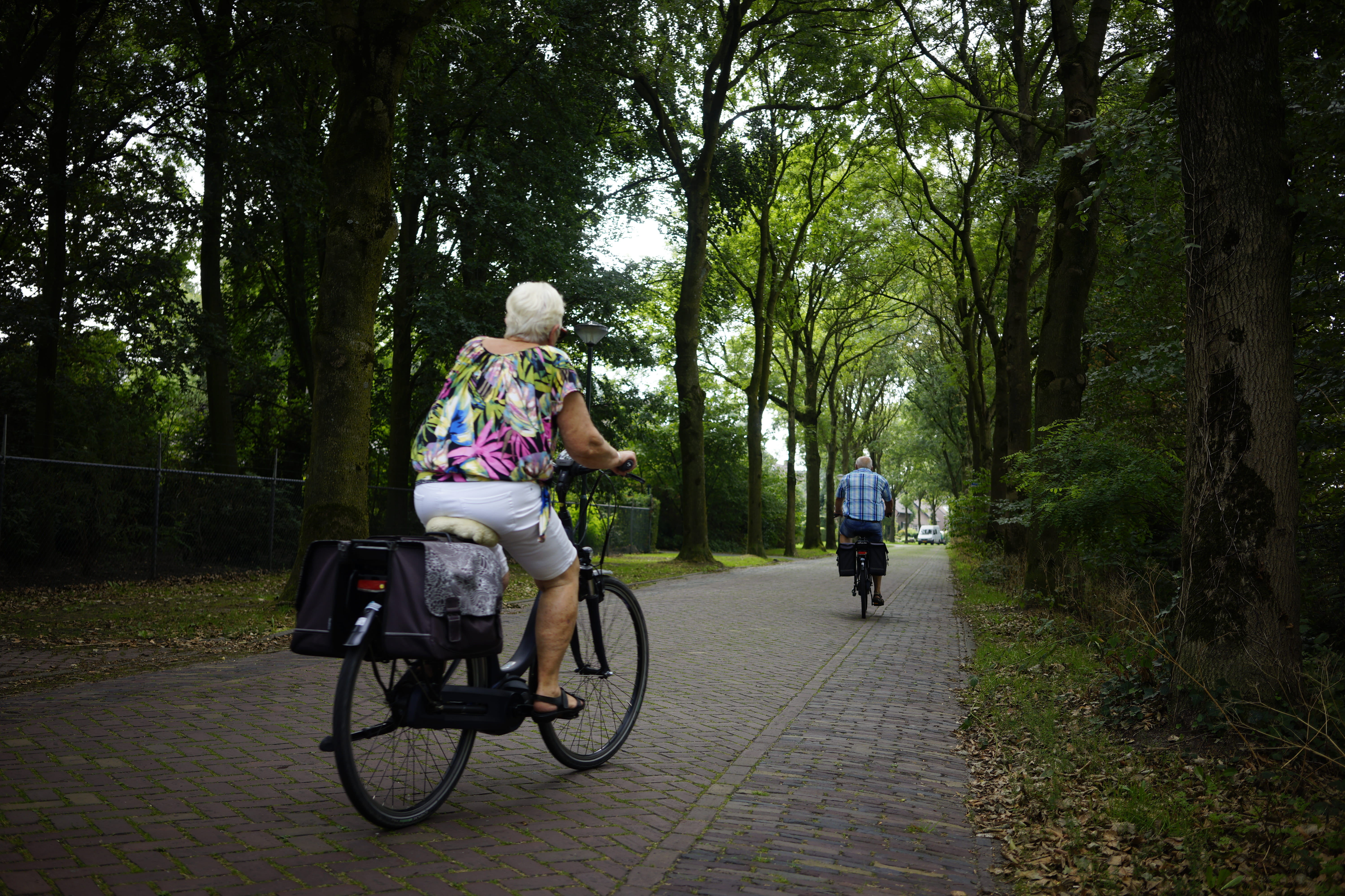 vacation, holiday, path, two people, senior adult, casual clothing, machine, rear view, brick, real people, transportation, people, daytime, outdoors, bicycle, HD Wallpaper