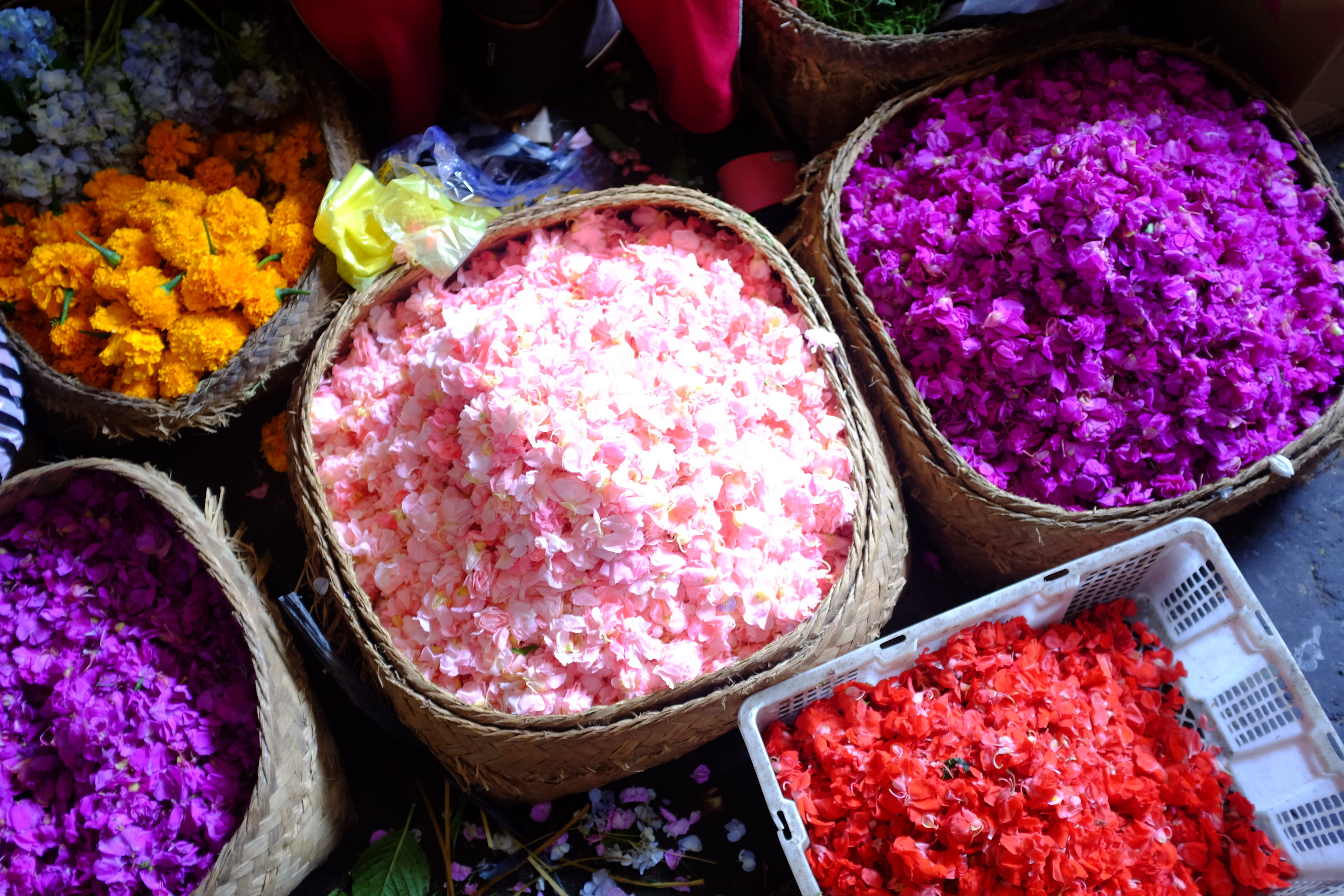 multi colored, food and drink, healthy eating, small business, business, arrangement, order, flower petals, offering, no people, container, retail display, HD Wallpaper
