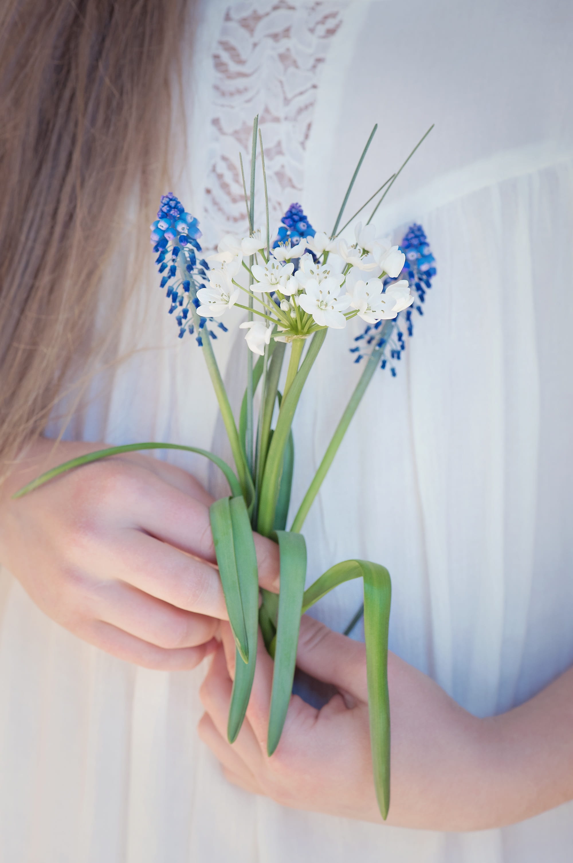 grape, fragility, nature, hyacinth, vulnerability, white, close-up, plant, human body part, person, flower, asparagus plant, hand, flowering plant, purple, Phone HD Wallpaper