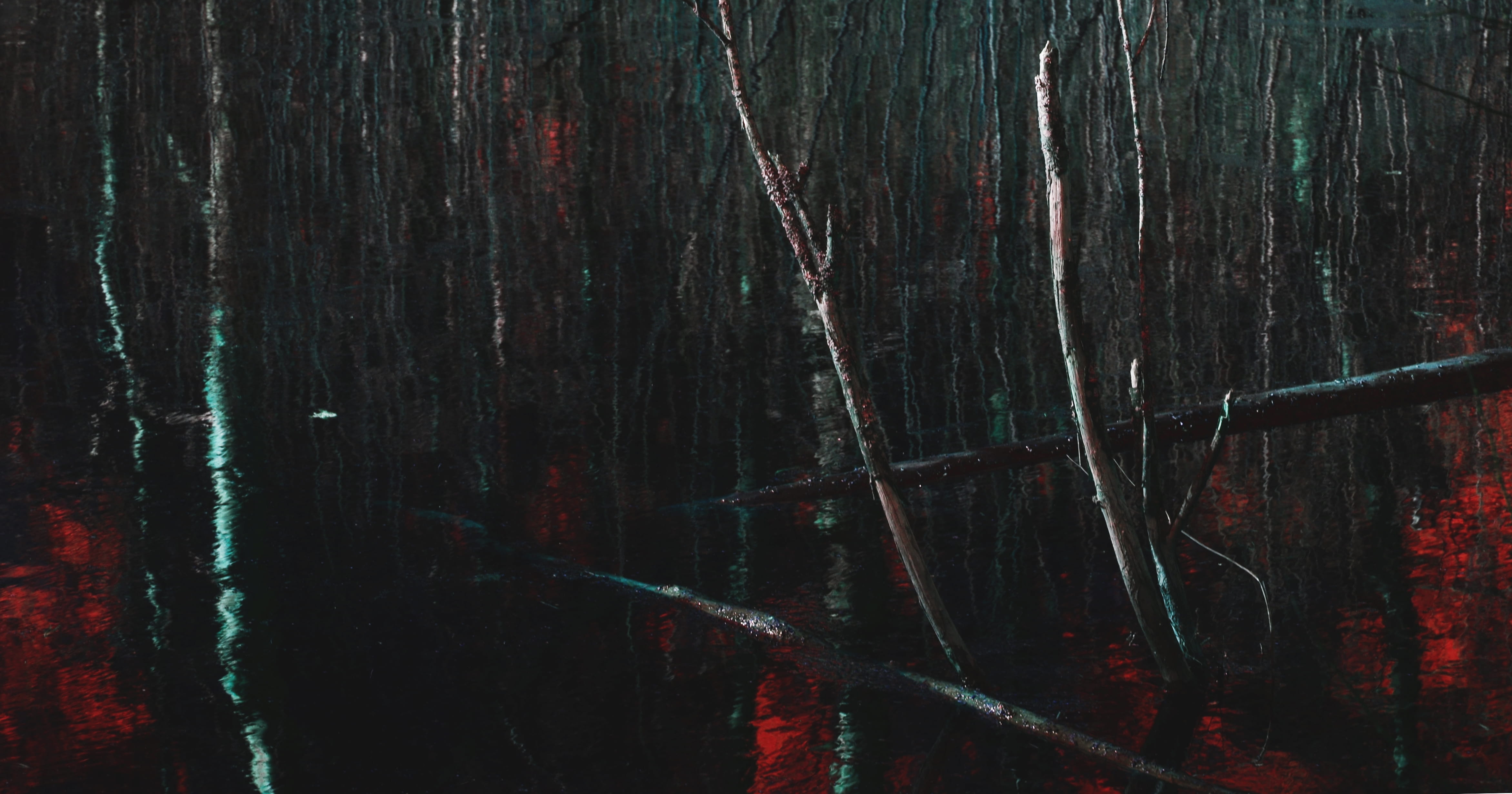 woodland, root, bog, full frame, backgrounds, pattern, land, modern art, textured, swamp, marsh, plant, wood - material, painting, reflection, dark, tranquility, HD Wallpaper
