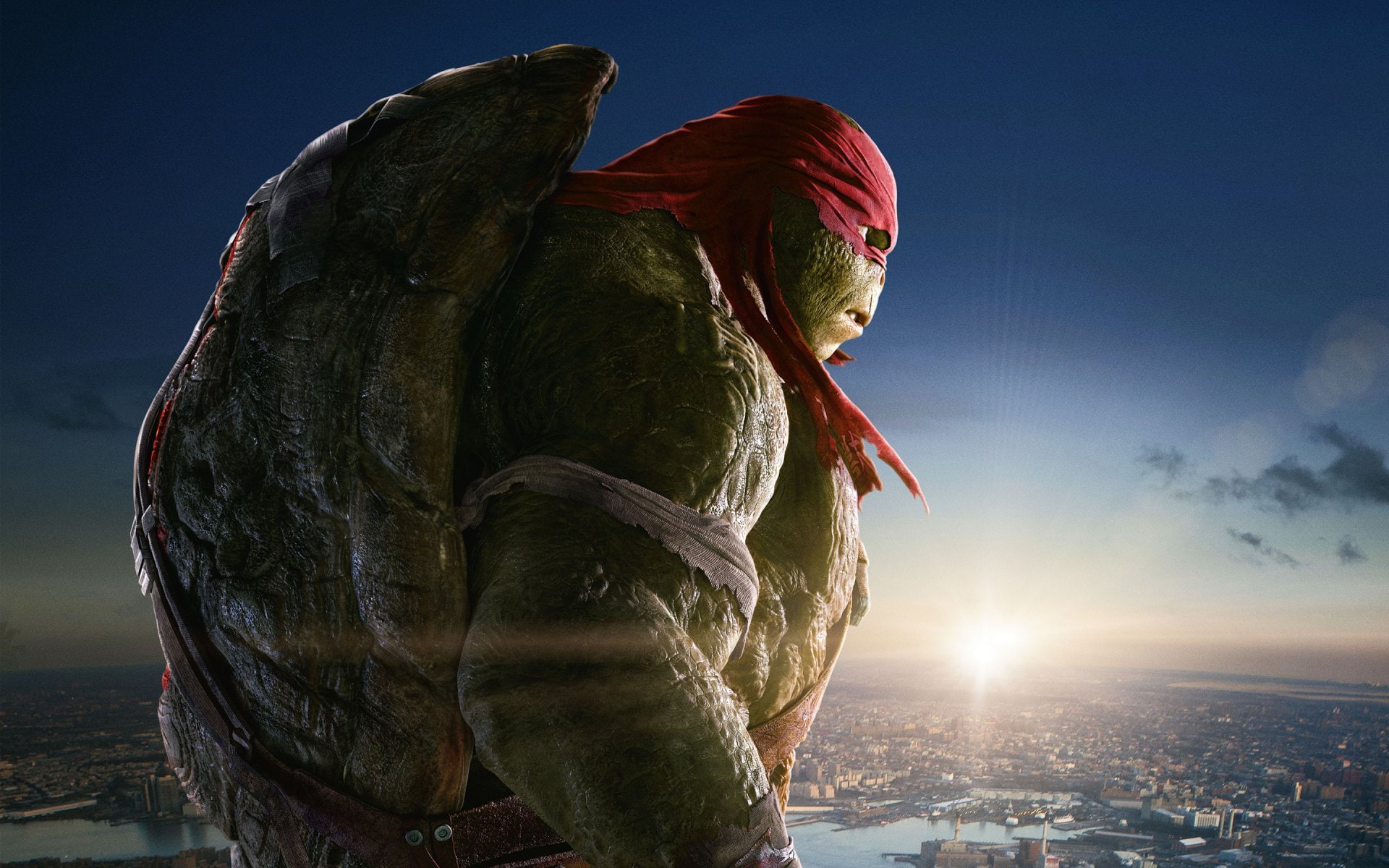 Raphael (TMNT), Teenage Mutant Ninja Turtles, 1080P, Teenage Mutant Ninja Turtles (2014), HD Wallpaper