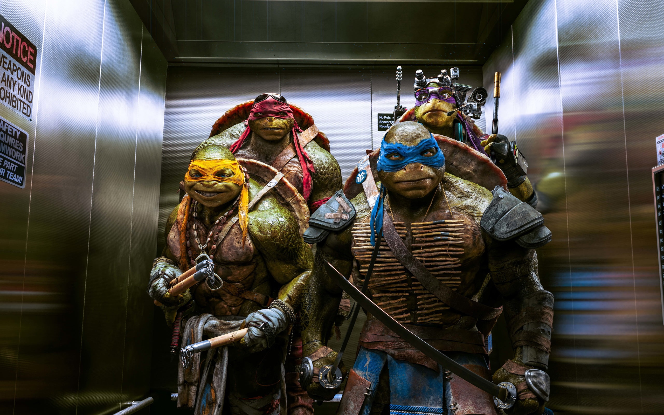 Turtles, 2014, Mutant, Ninja, Movie, Teenage, 2K, HD Wallpaper