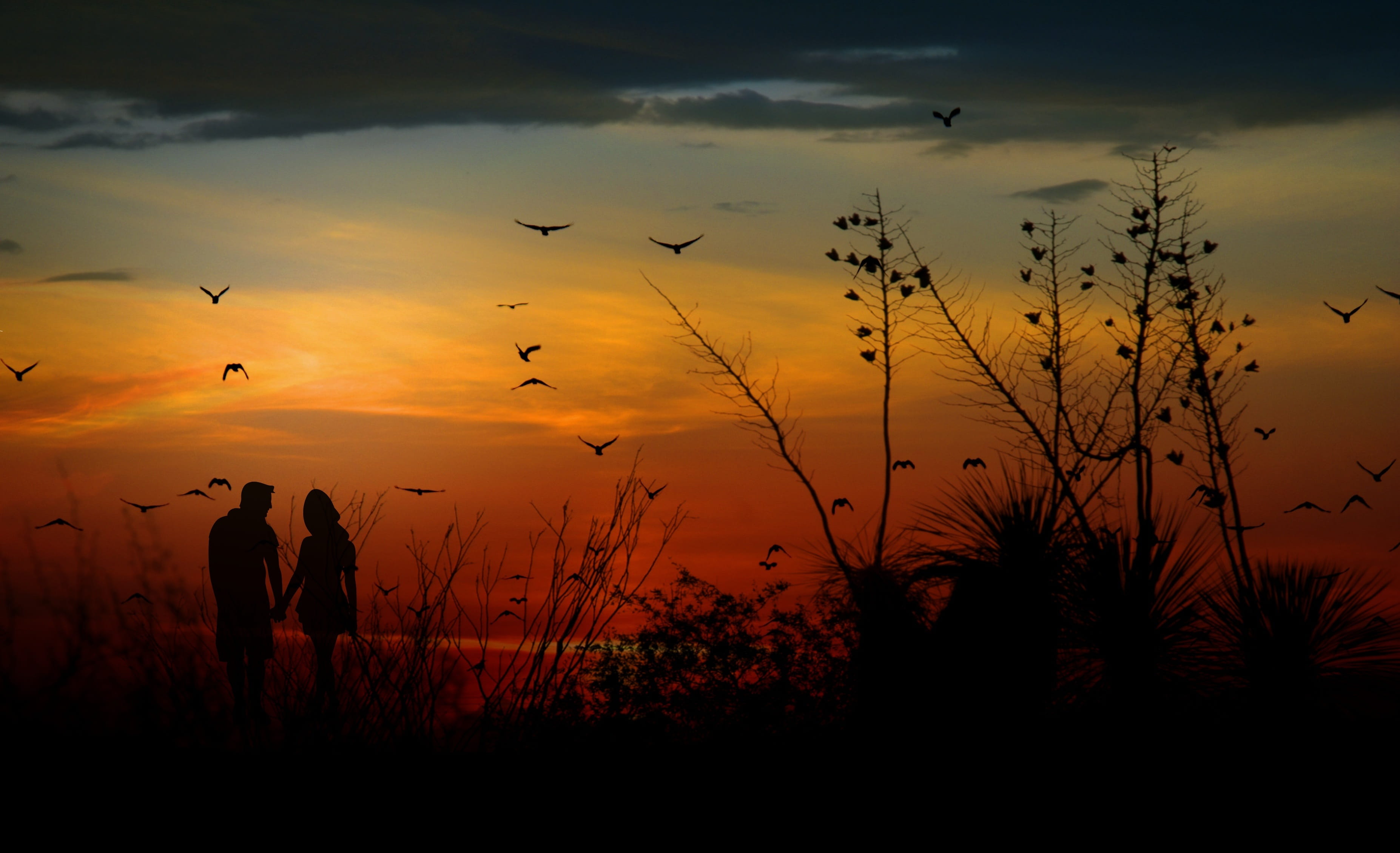 indian, cloud - sky, flock of birds, evening, group of animals, silhouette, orange color, vertebrate, two people, bird, land, sky, flying, animal wildlife, HD Wallpaper