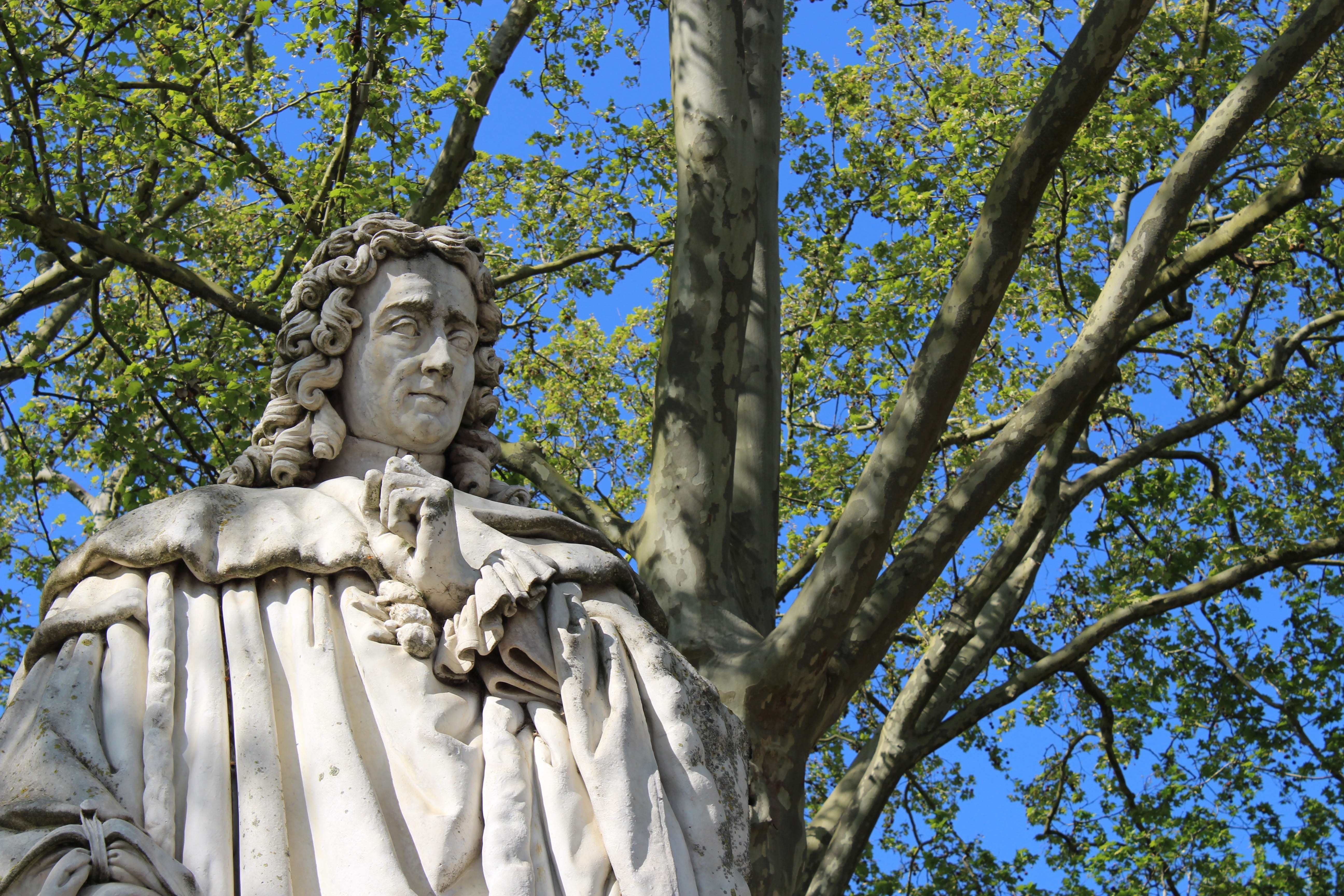 montesquieu, spirituality, plant, creativity, day, nature, growth, male likeness, enlightenment, art and craft, monument, sky, craft, statue, tree, sculpture, HD Wallpaper