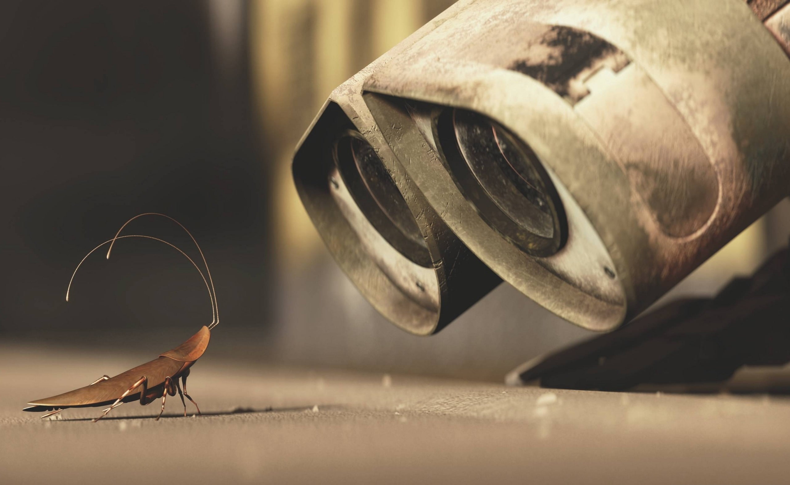 old, container, animal, day, Cartoons, focus on foreground, metal, wood - material, close-up, indoors, brown, Wall, selective focus, illustration, 2K, HD Wallpaper